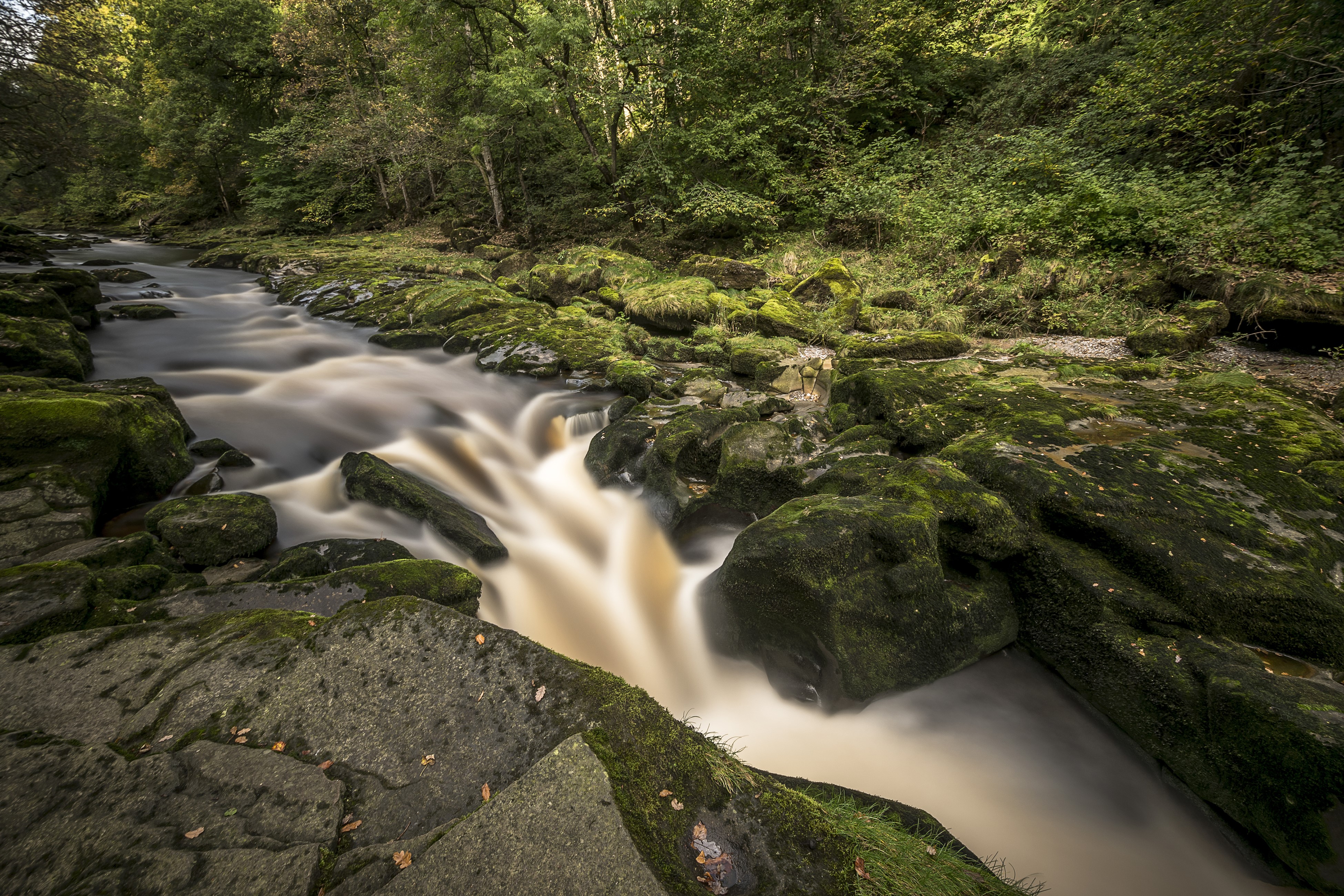 River flowing over mossy rocks in Yorkshire, UK HD Wallpaper