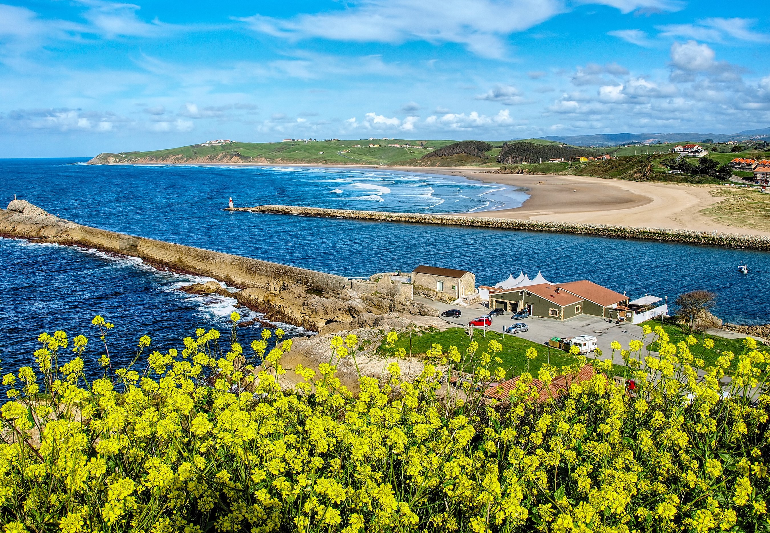 San Vicente de la Barquera Cantabria Spain Coastline with Yellow Flowers HD Wallpaper