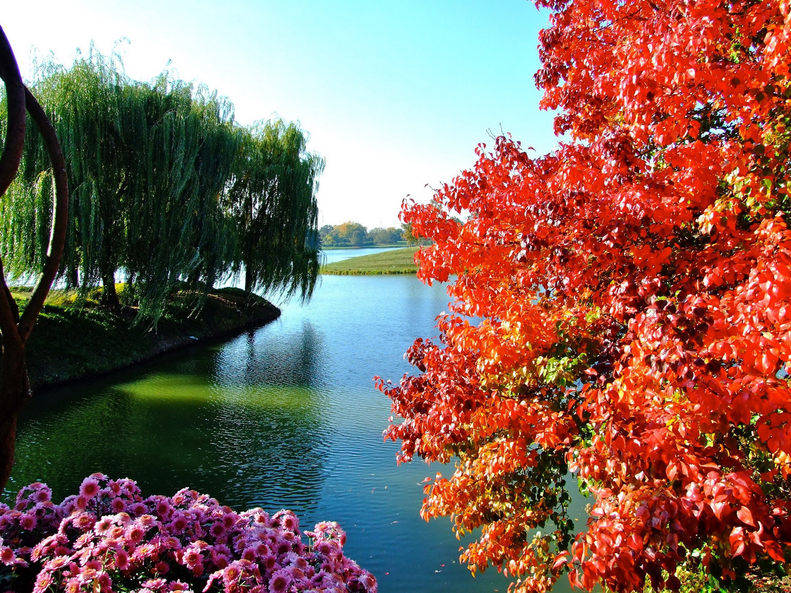 Autumn trees and flowers by a pond HD Wallpaper