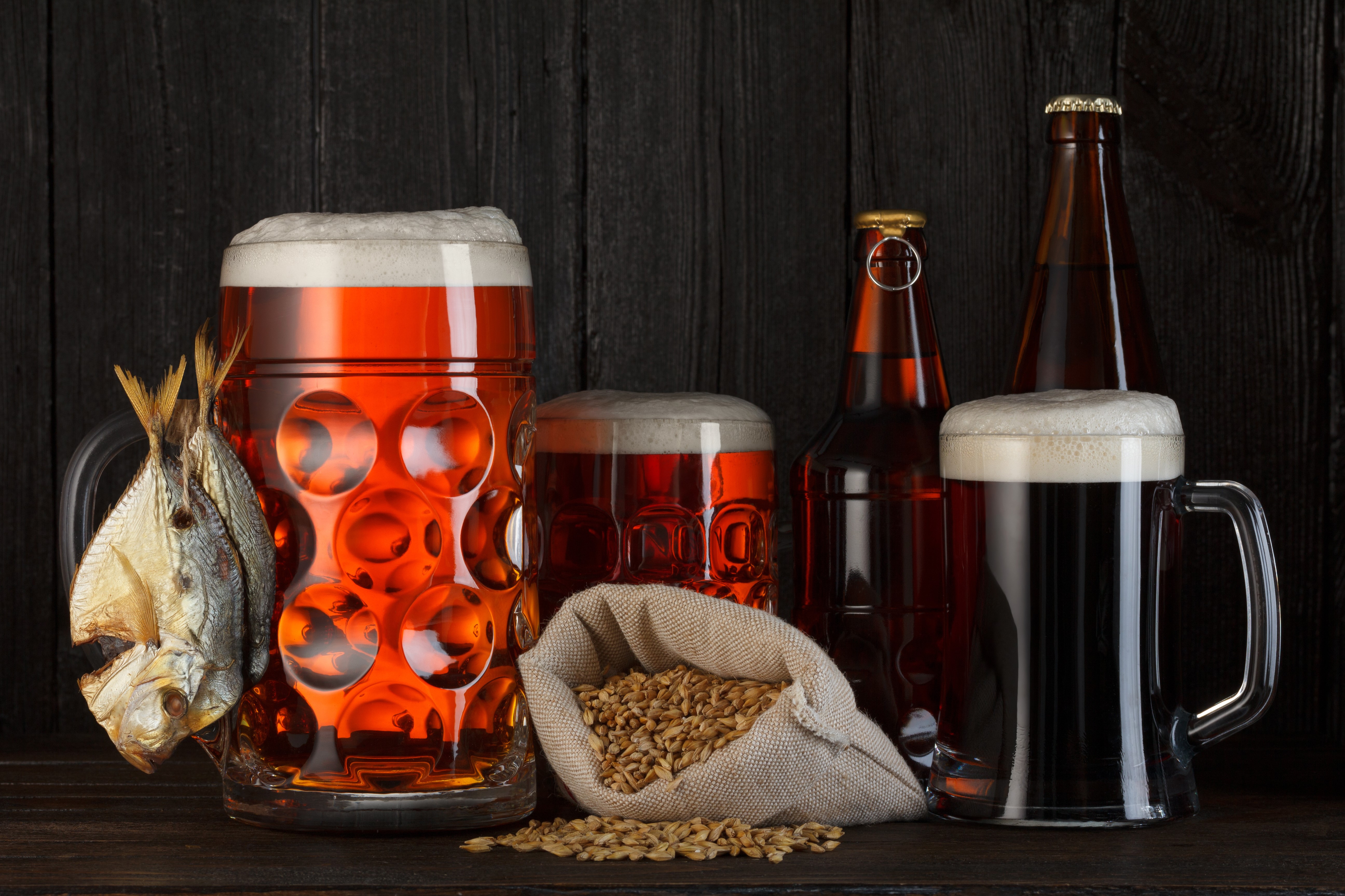 Beer in Mugs and Bottles with Fish and Grain HD Wallpaper