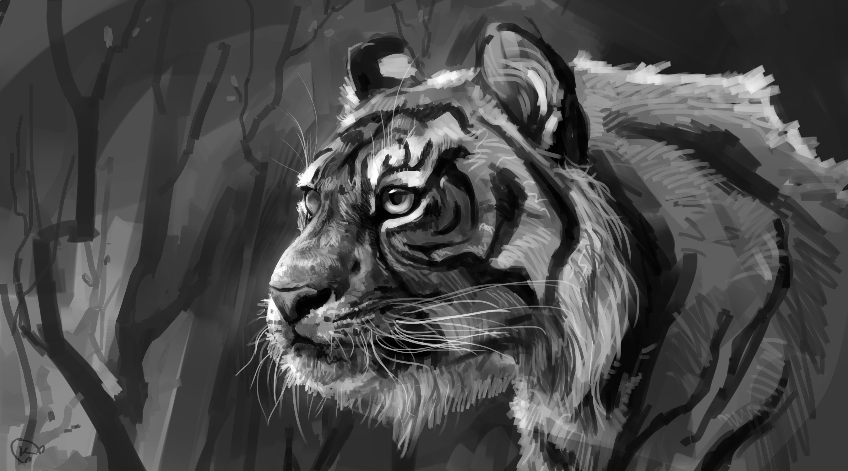 Black and white painting of a tiger's head HD Wallpaper
