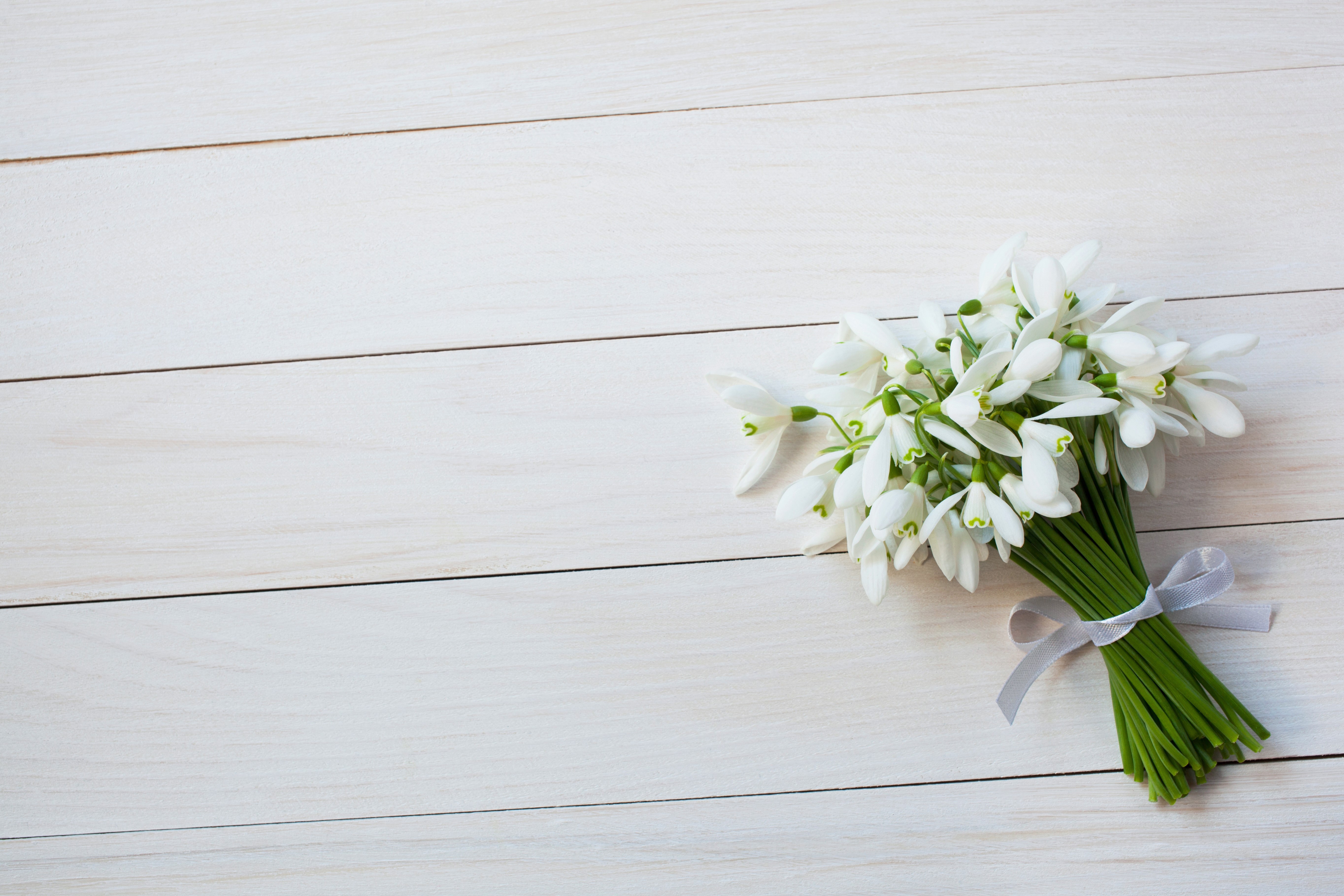 Bouquet of Snowdrops on White Wood Planks HD Wallpaper