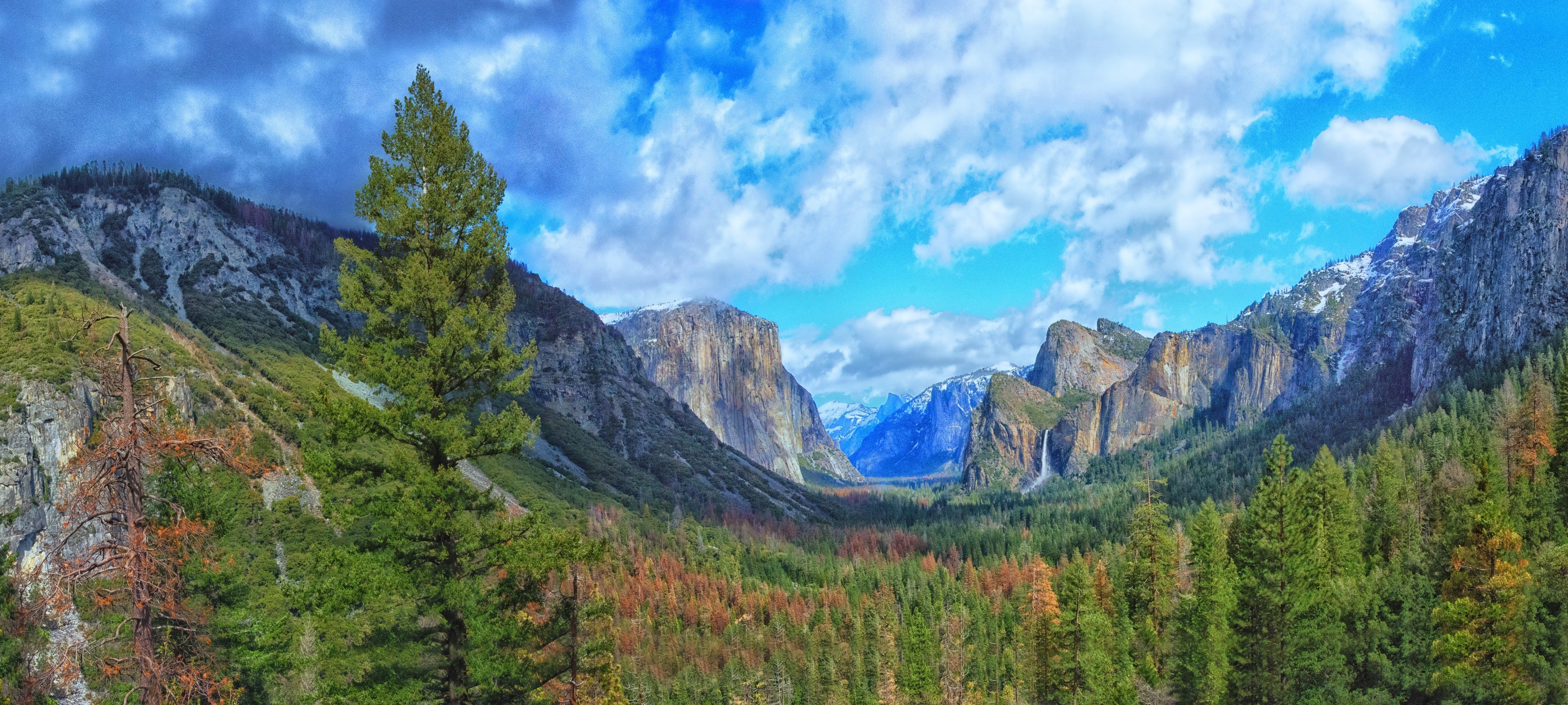 Yosemite National Park Mountains and Forests HD Wallpaper