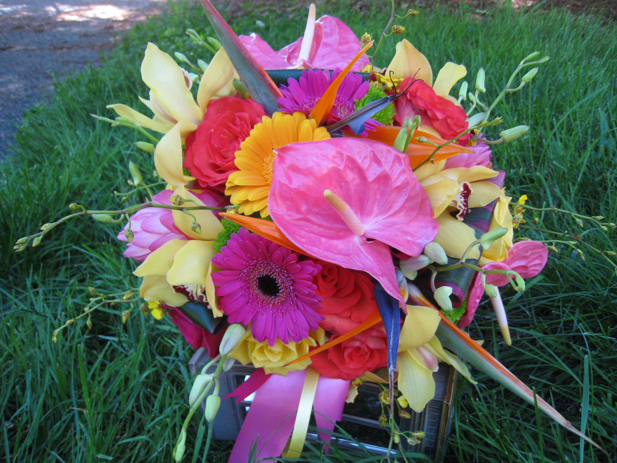 Tropical flower bouquet with anthuriums and gerberas HD Wallpaper