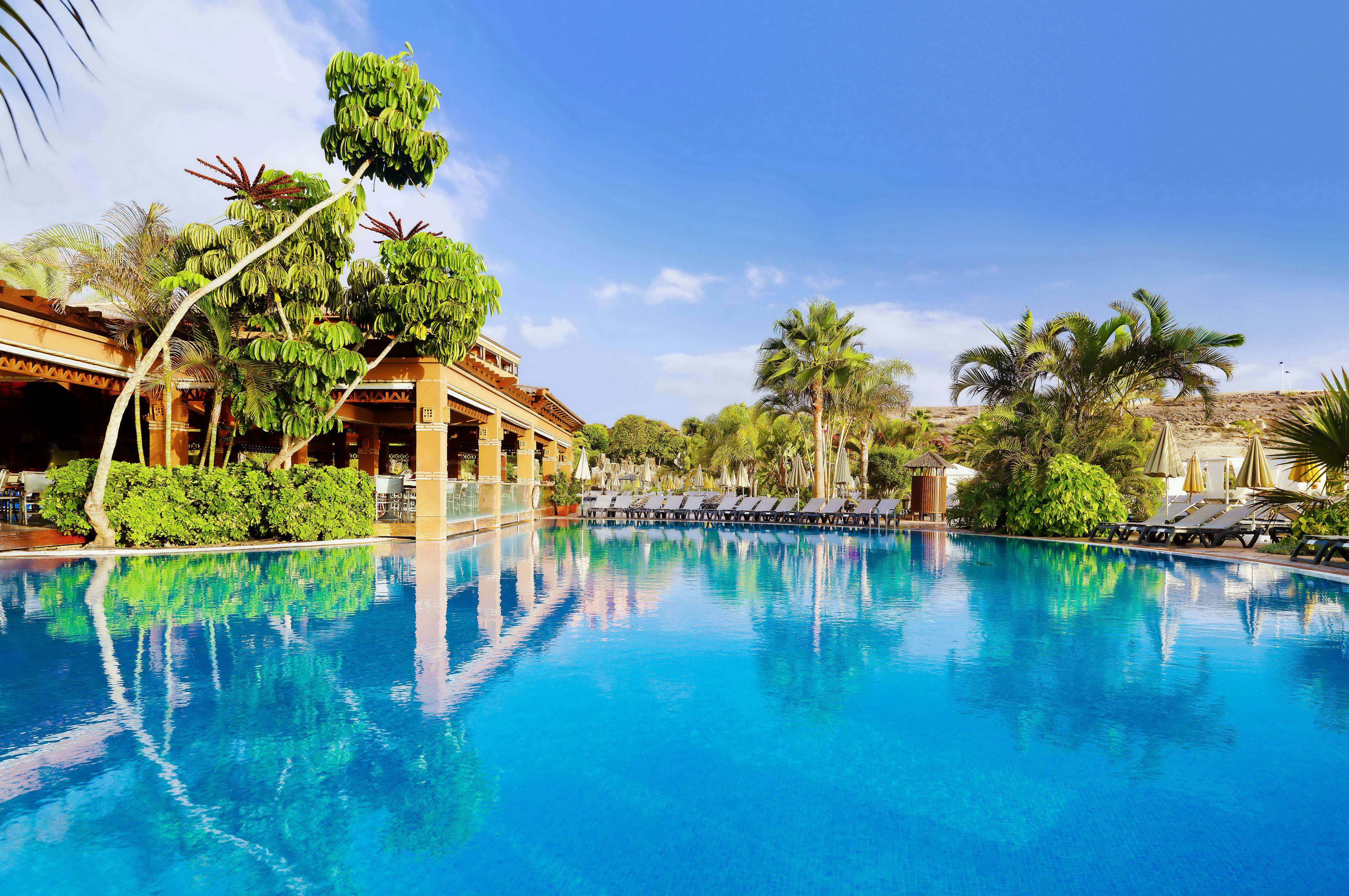 Resort swimming pool with palm trees and lounge chairs in Tenerife HD Wallpaper