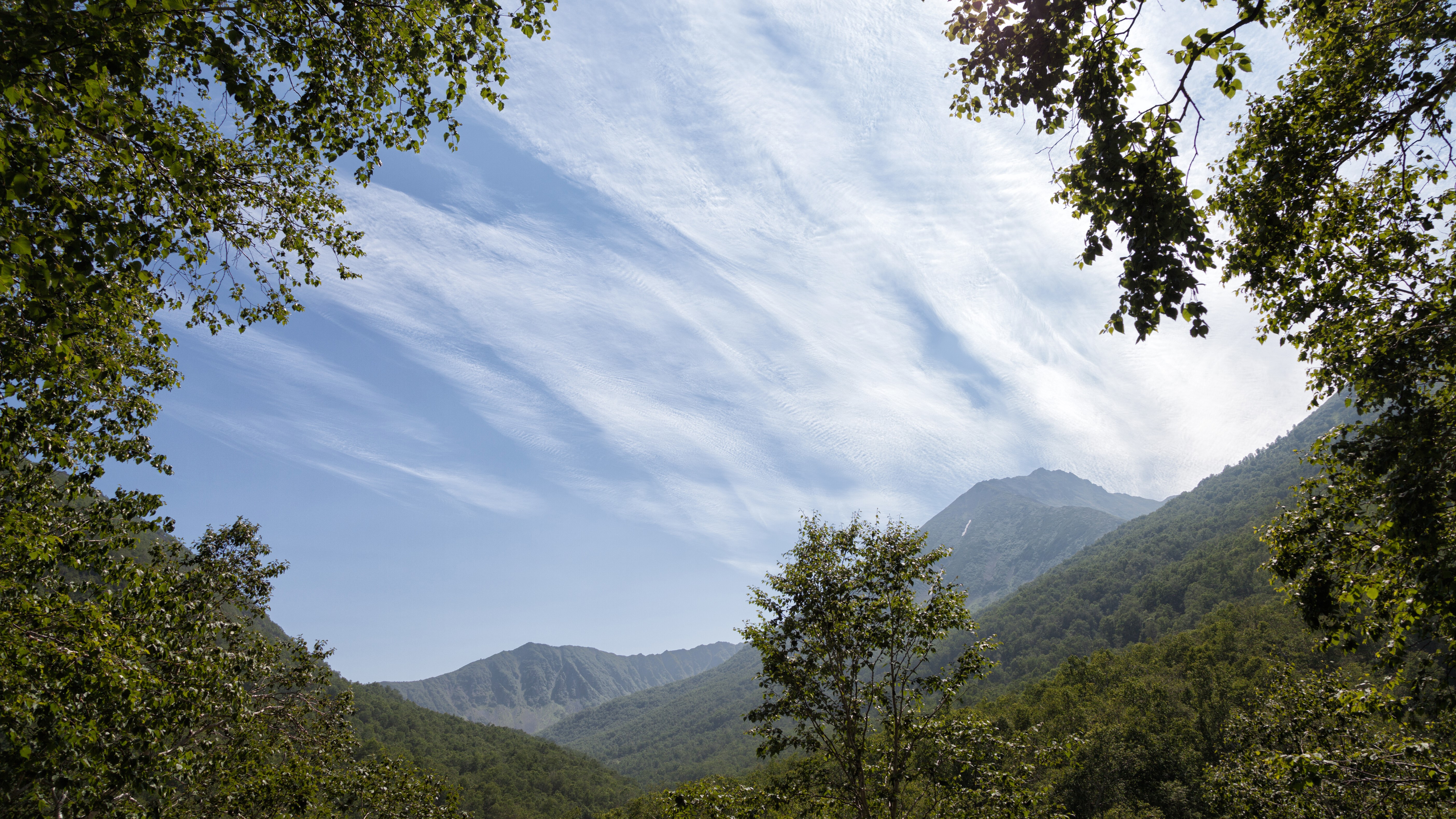 Mountains and forests of Kamchatka Peninsula, Russia HD Wallpaper