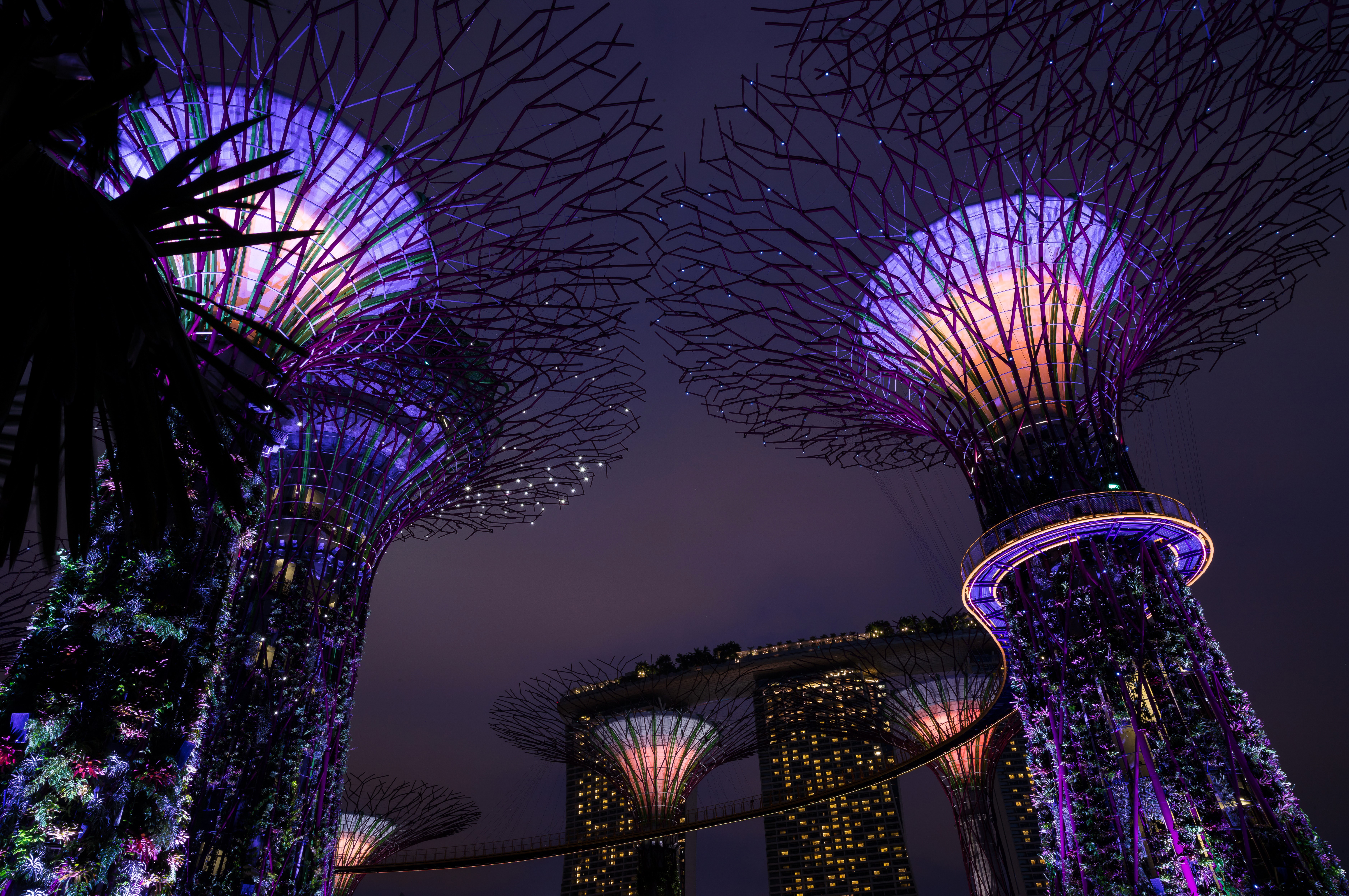 Gardens by the Bay, Singapore at Night HD Wallpaper