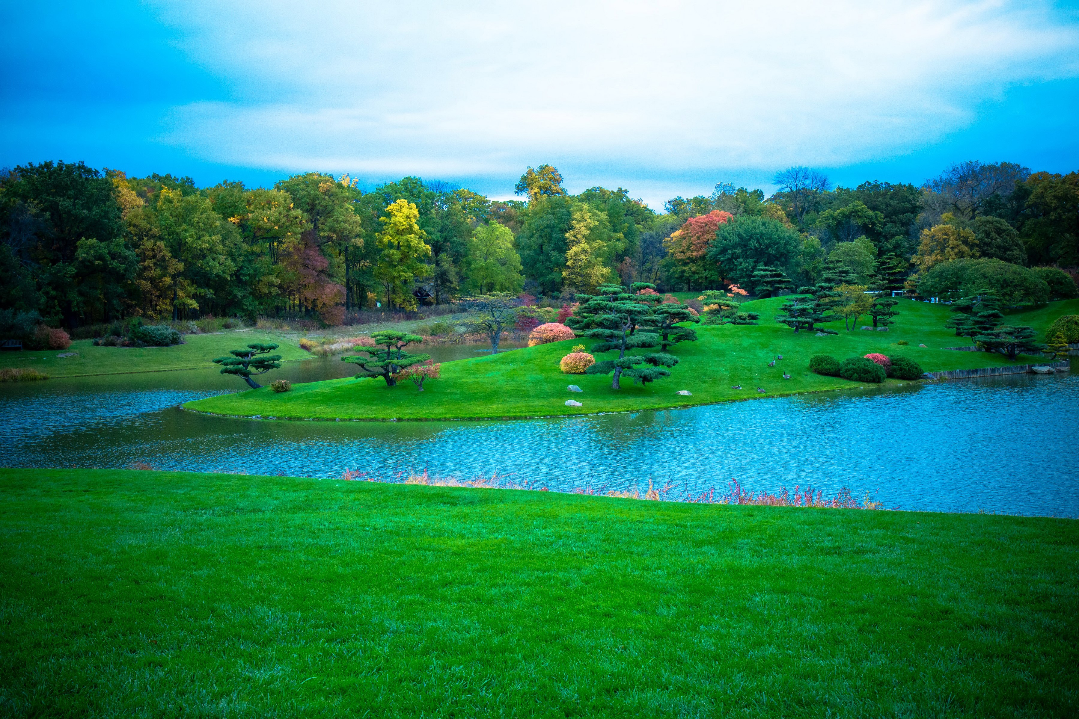 Japanese Garden with Pond and Autumn Trees HD Wallpaper