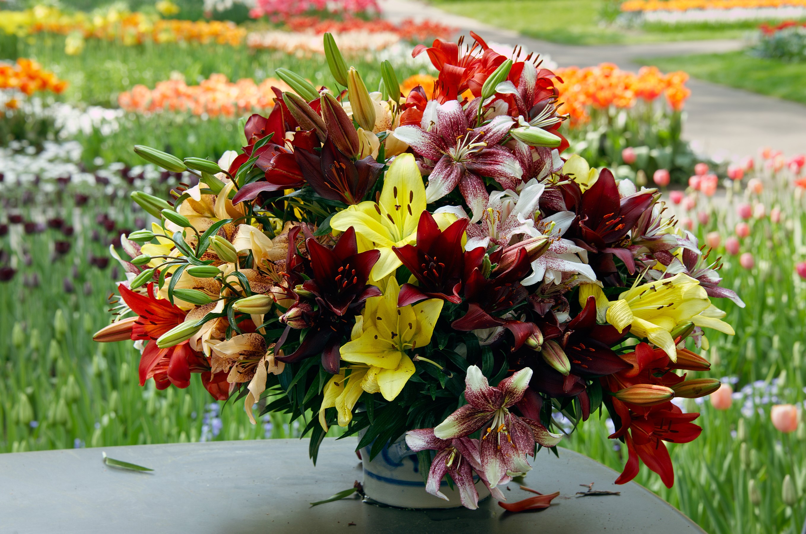 Bouquet of lilies in a garden HD Wallpaper