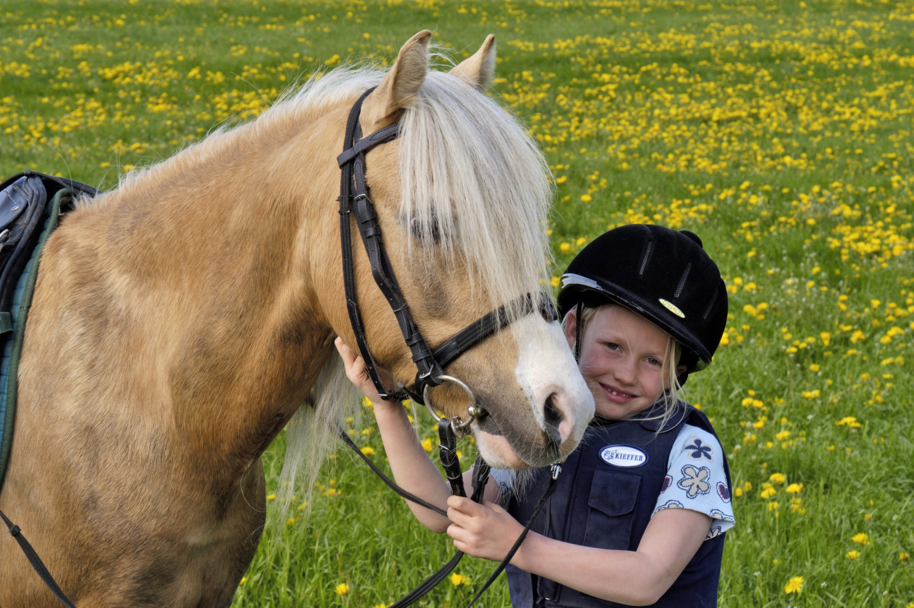 Girl in helmet with horse in field of yellow flowers HD Wallpaper
