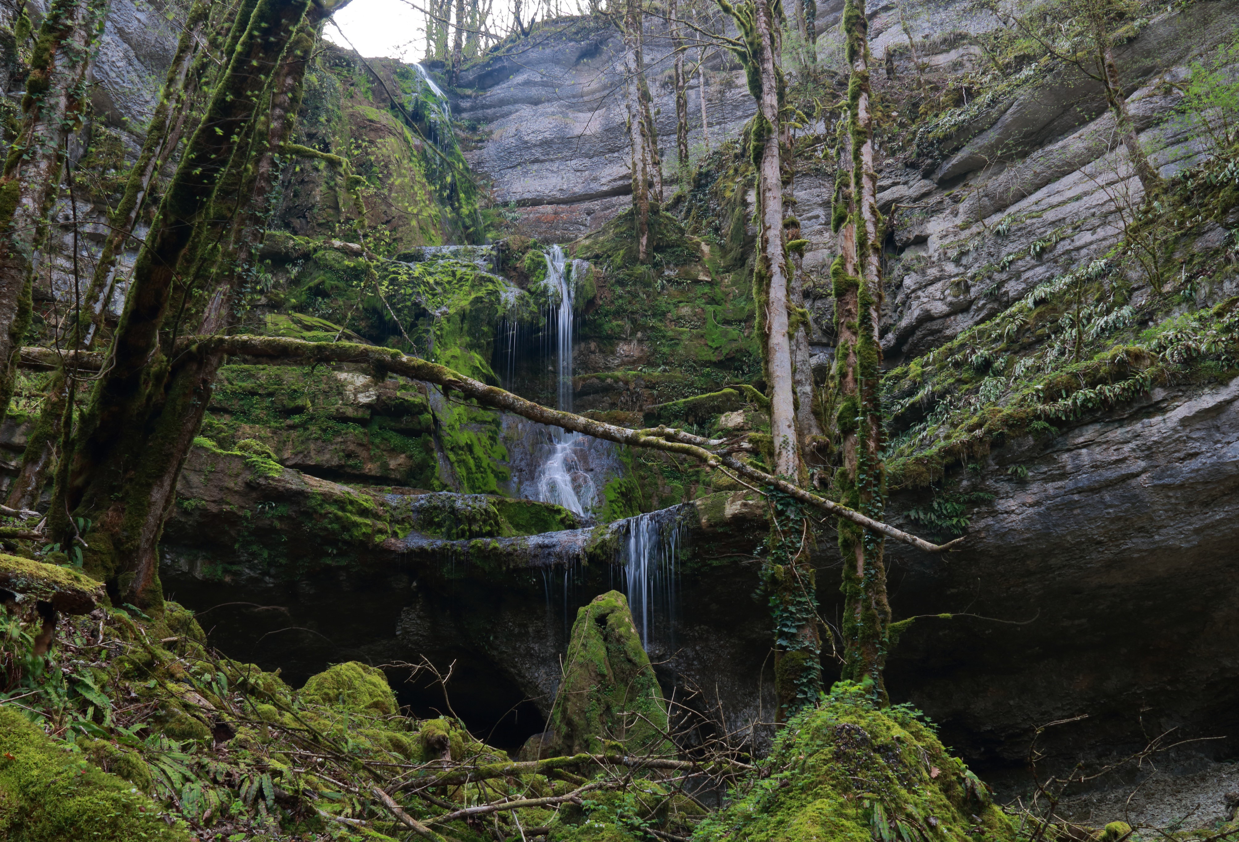 Waterfall in Mossy Forest, Mullerthal Trail, Luxembourg HD Wallpaper