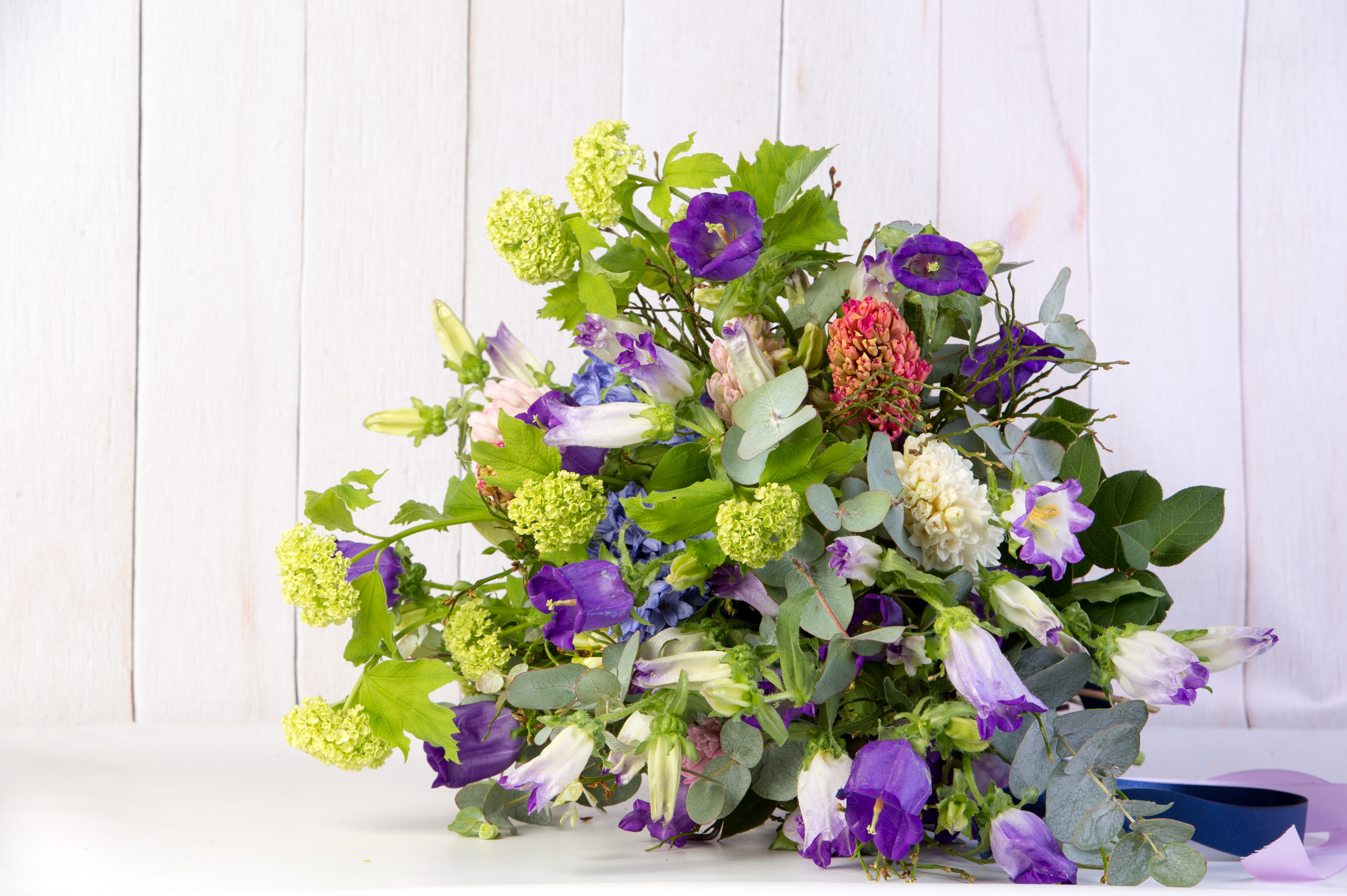 Bouquets of Campanula flowers HD Wallpaper