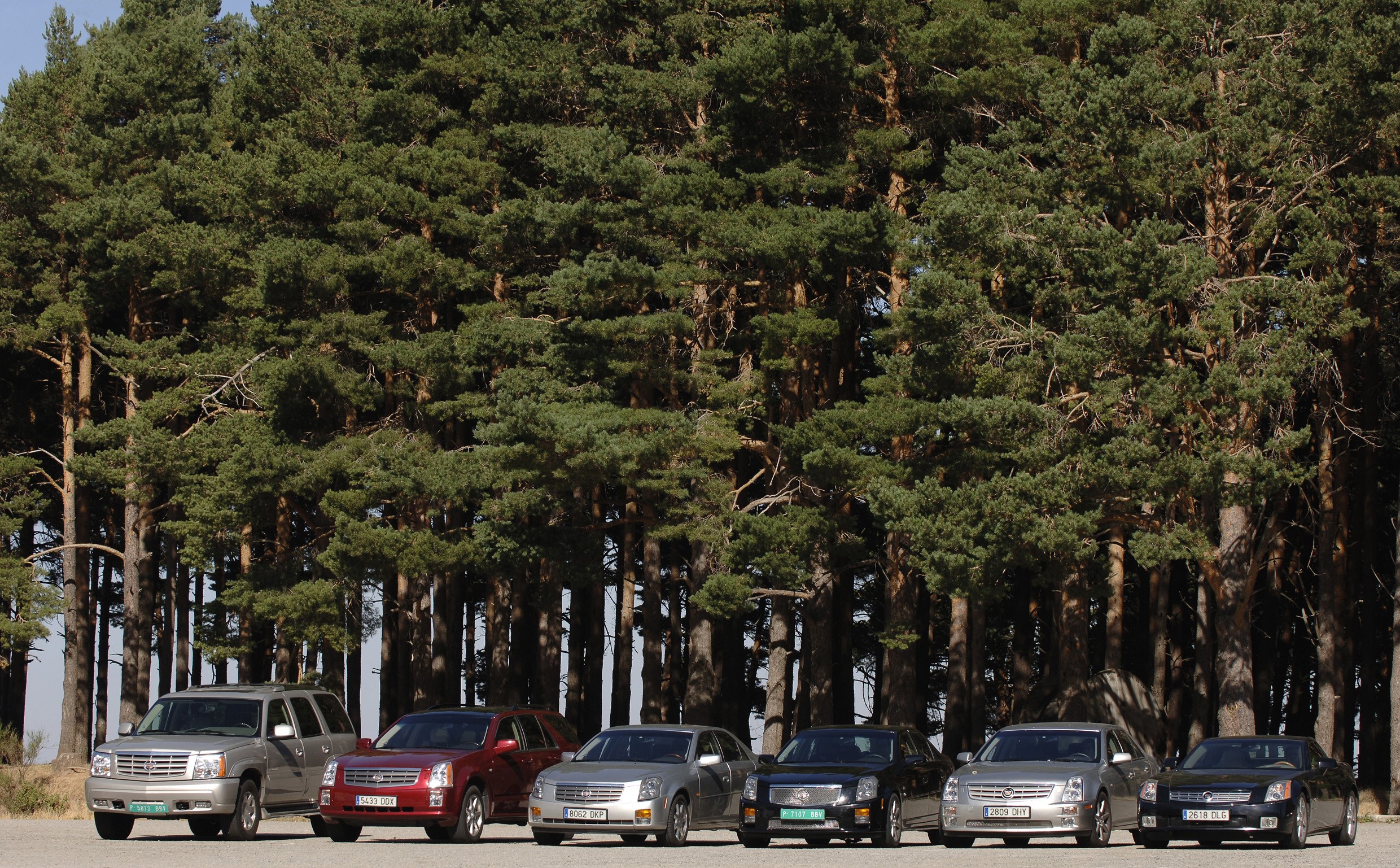 Cadillac cars parked in front of a pine forest HD Wallpaper