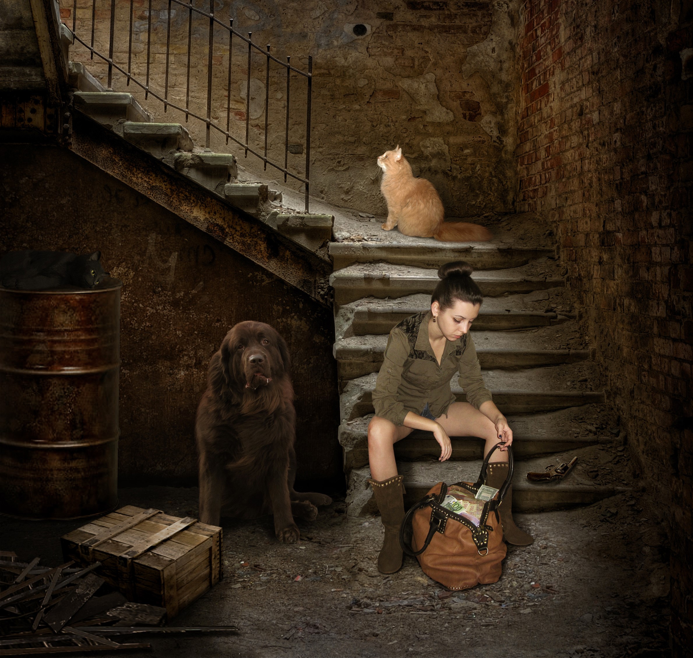 Girl with dog and cats on stairs with handbag HD Wallpaper