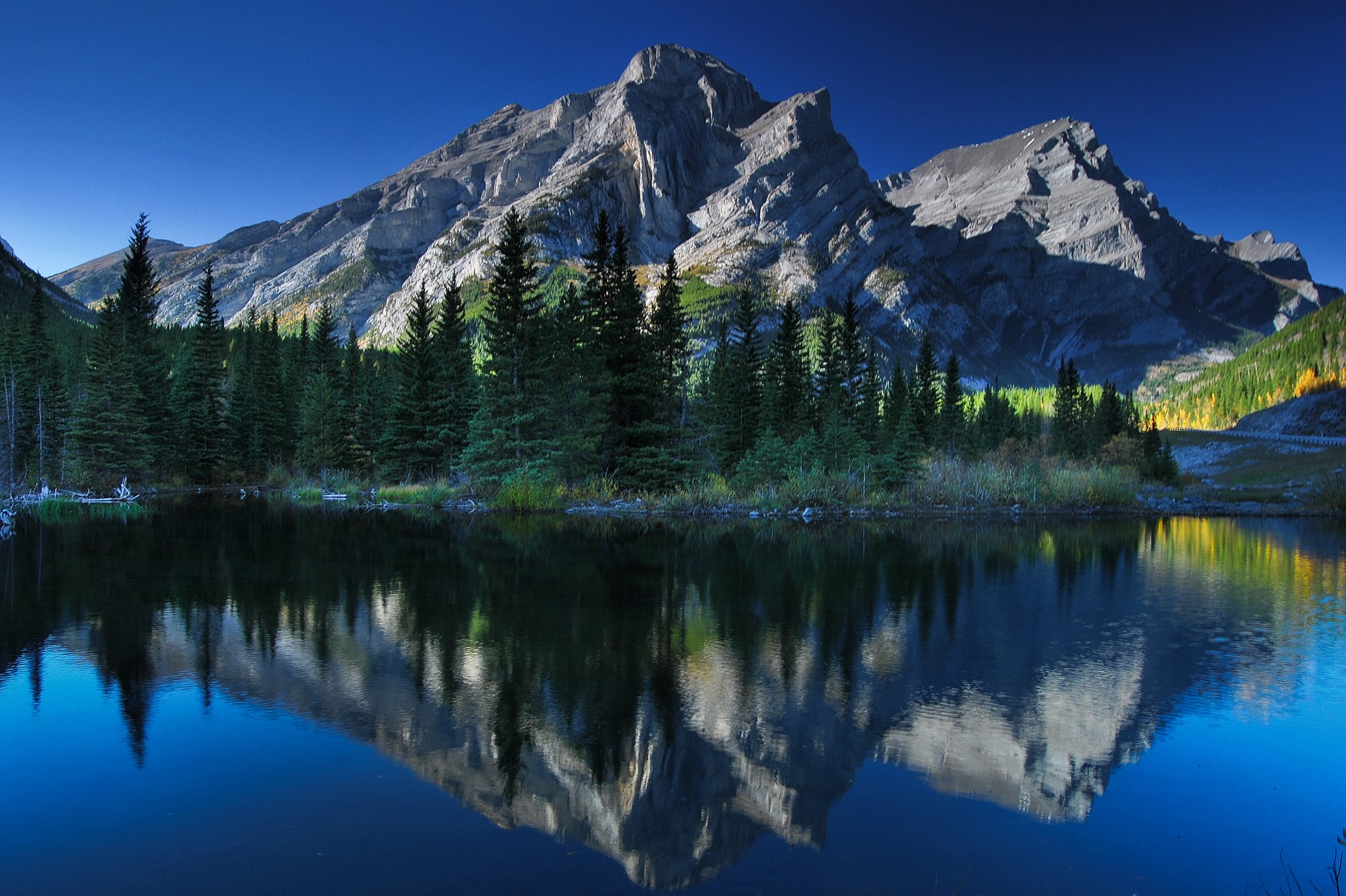 Mountain reflected in a calm lake with pine trees HD Wallpaper