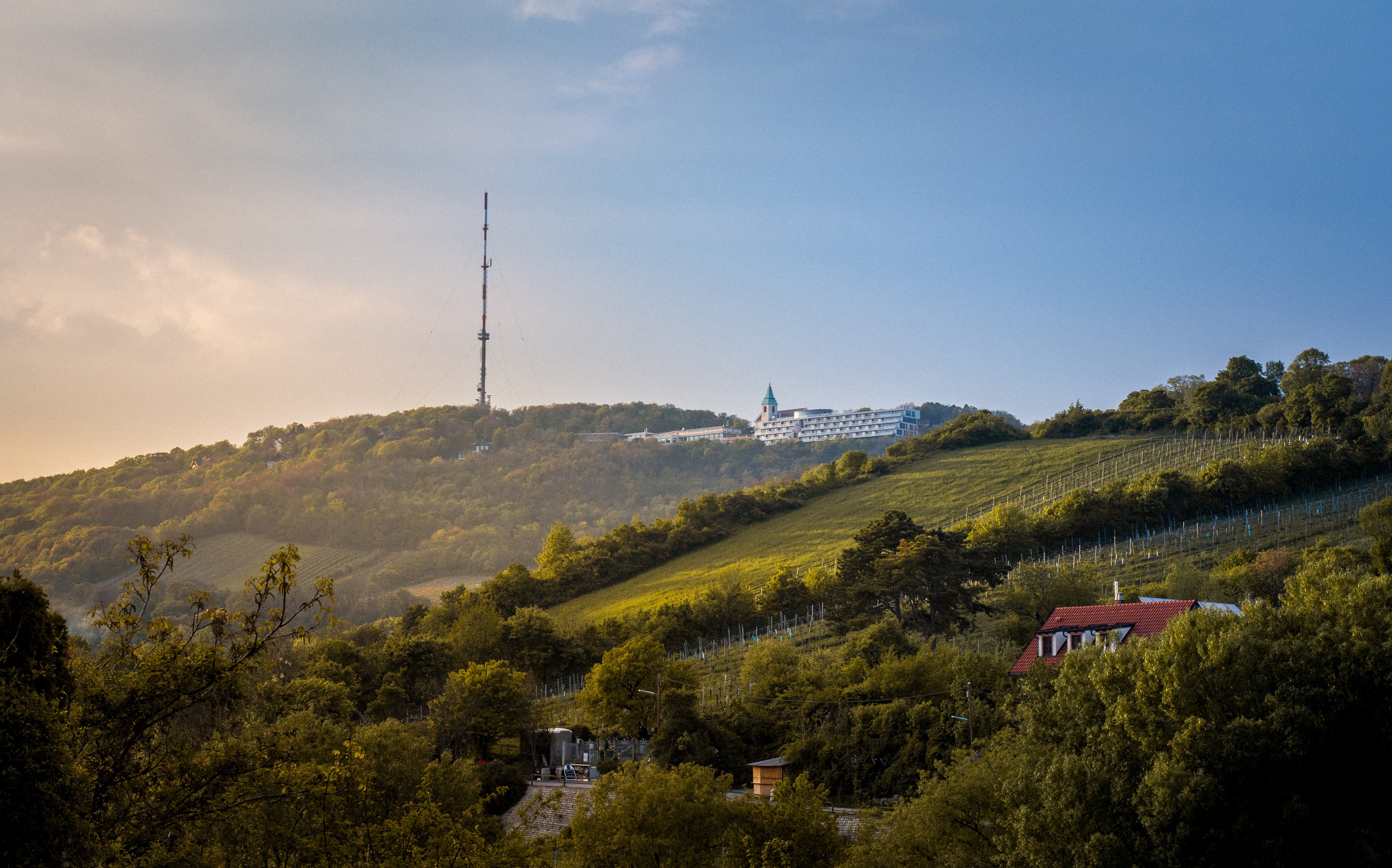 Kahlenberg Vienna Austria with Radio Tower and Vineyard HD Wallpaper