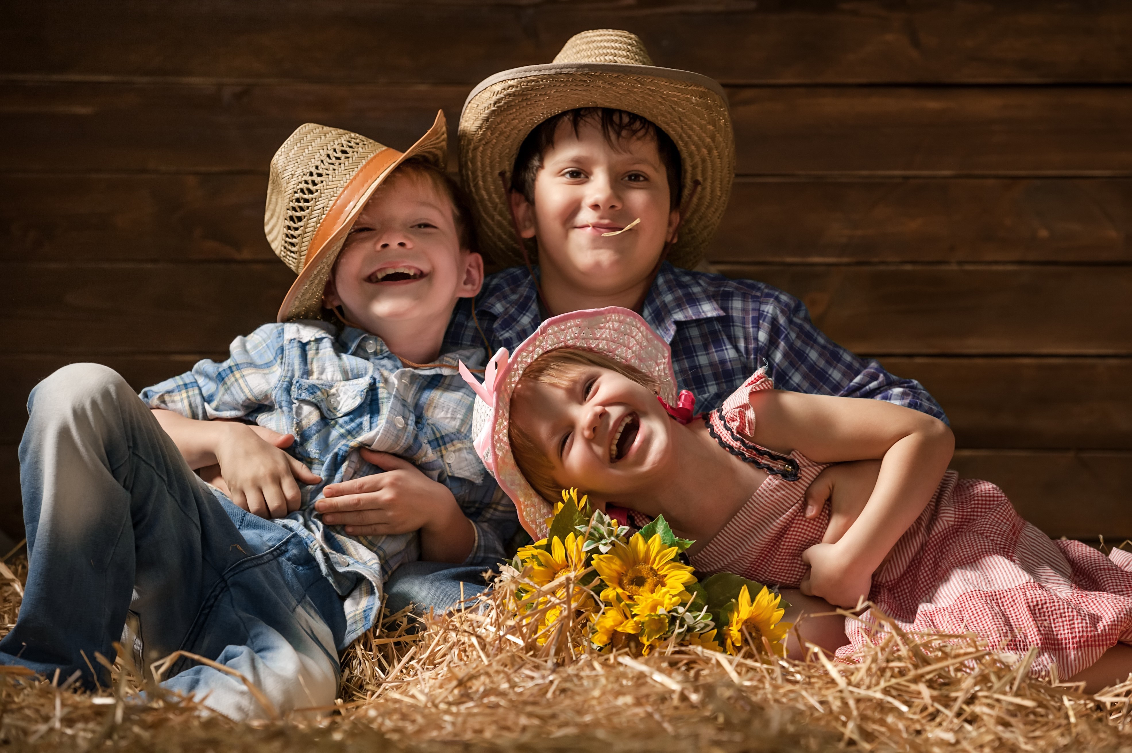 Three children in cowboy hats on hay with sunflowers HD Wallpaper
