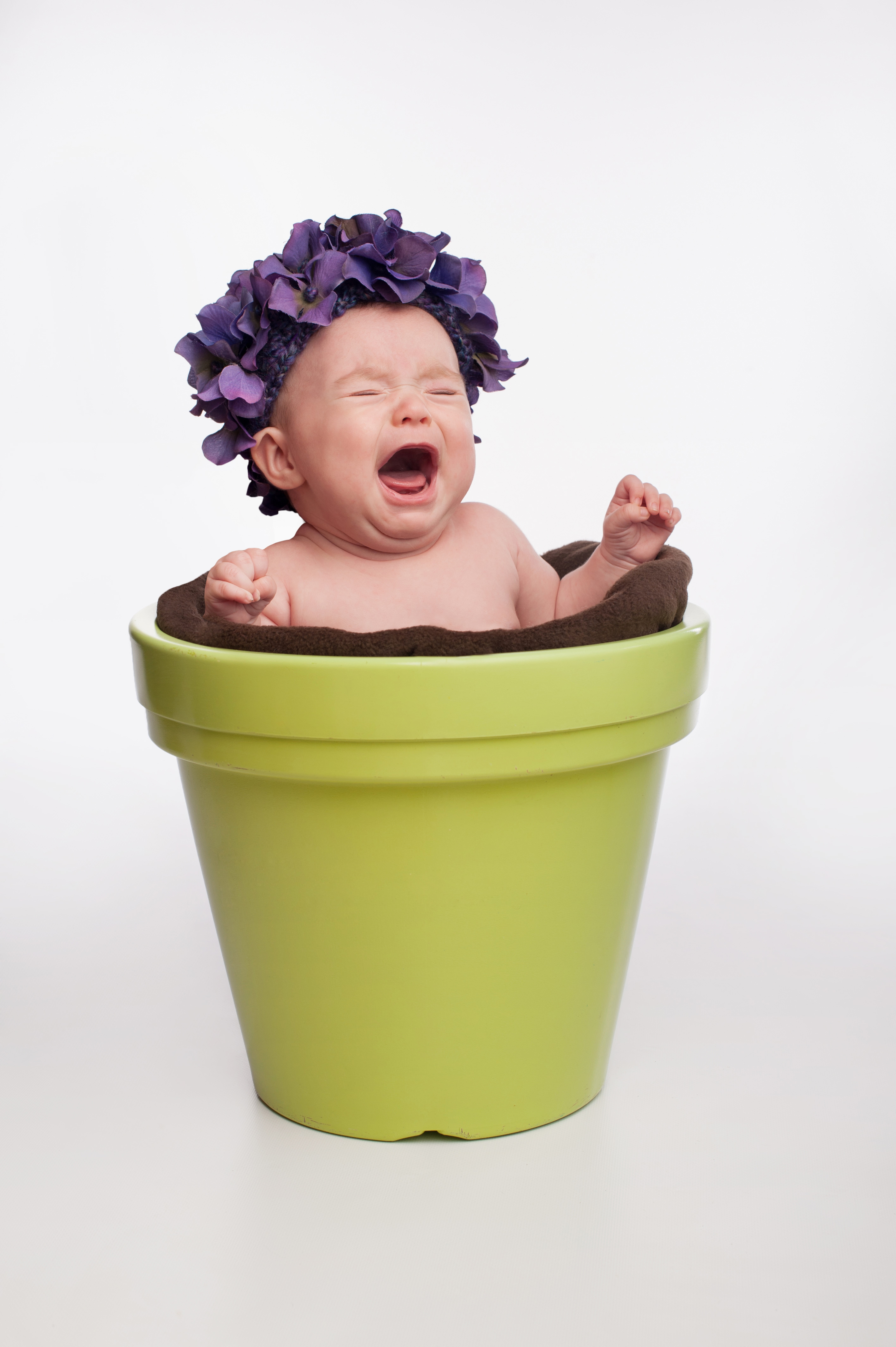 Baby in a flowerpot with purple flowers HD Phone Wallpaper