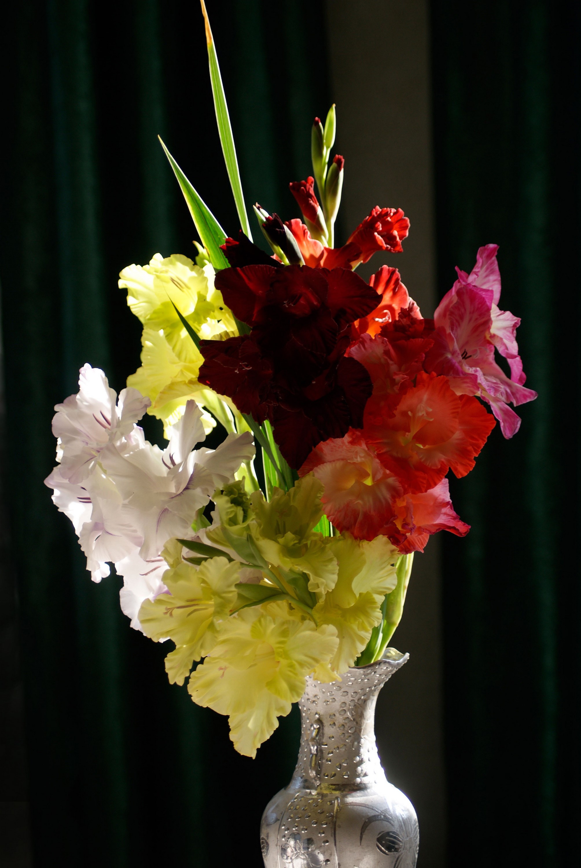 Bouquet of Gladioluses in a vase HD Phone Wallpaper