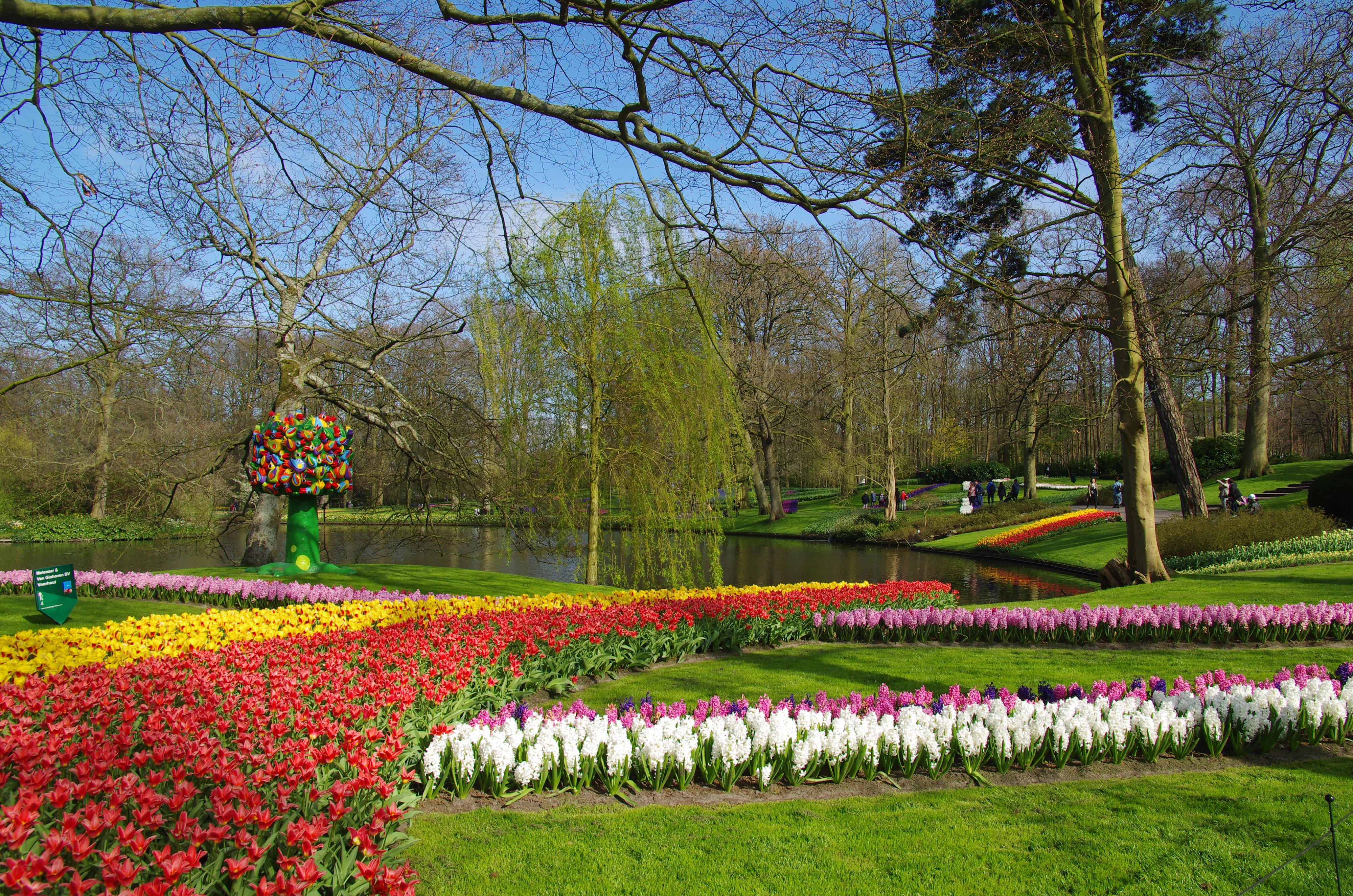 Keukenhof Gardens with Tulips and Hyacinths HD Wallpaper