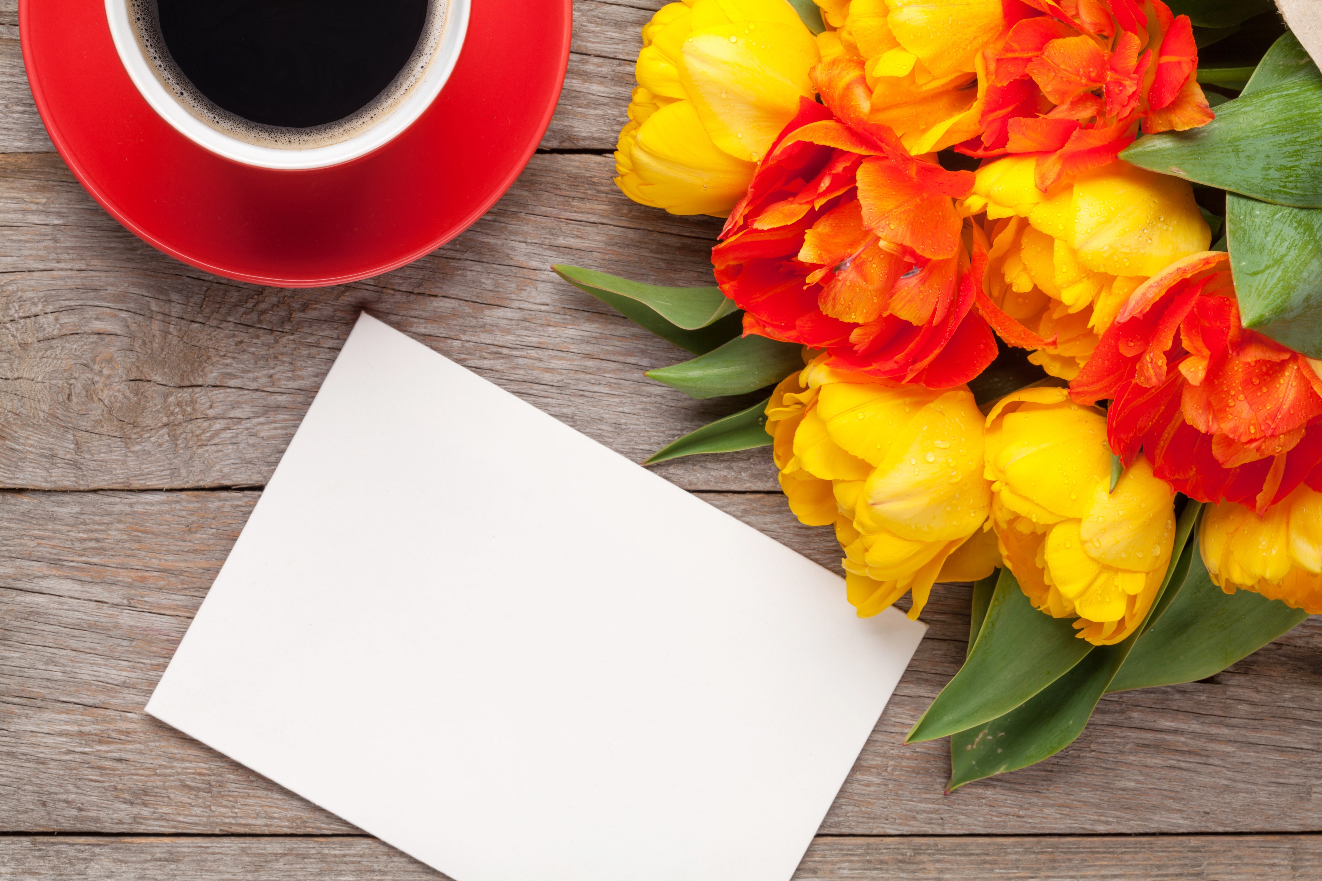 Tulips and coffee with a greeting card template HD Wallpaper