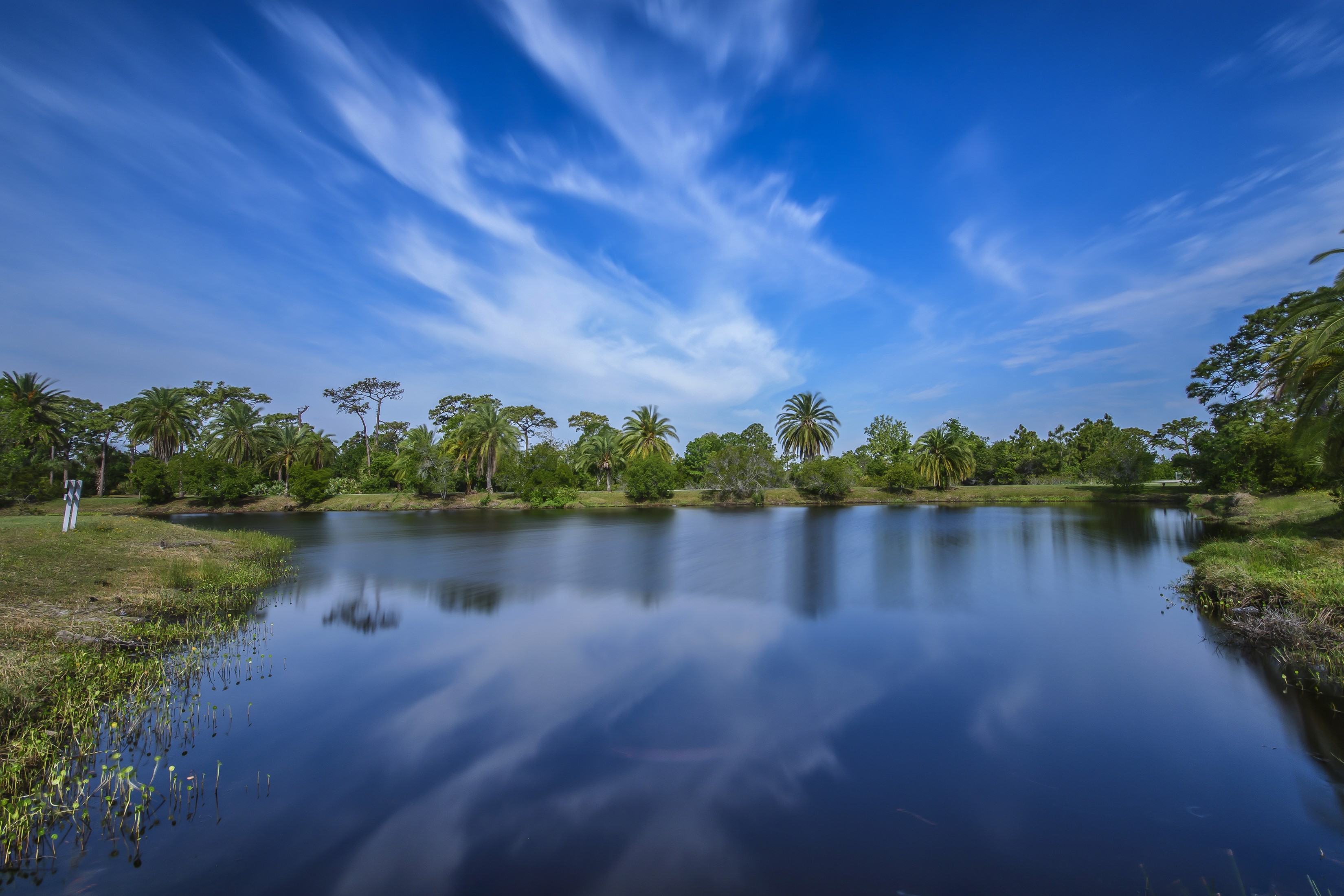 Wickham Park Melbourne Pond with Trees and Sky HD Wallpaper