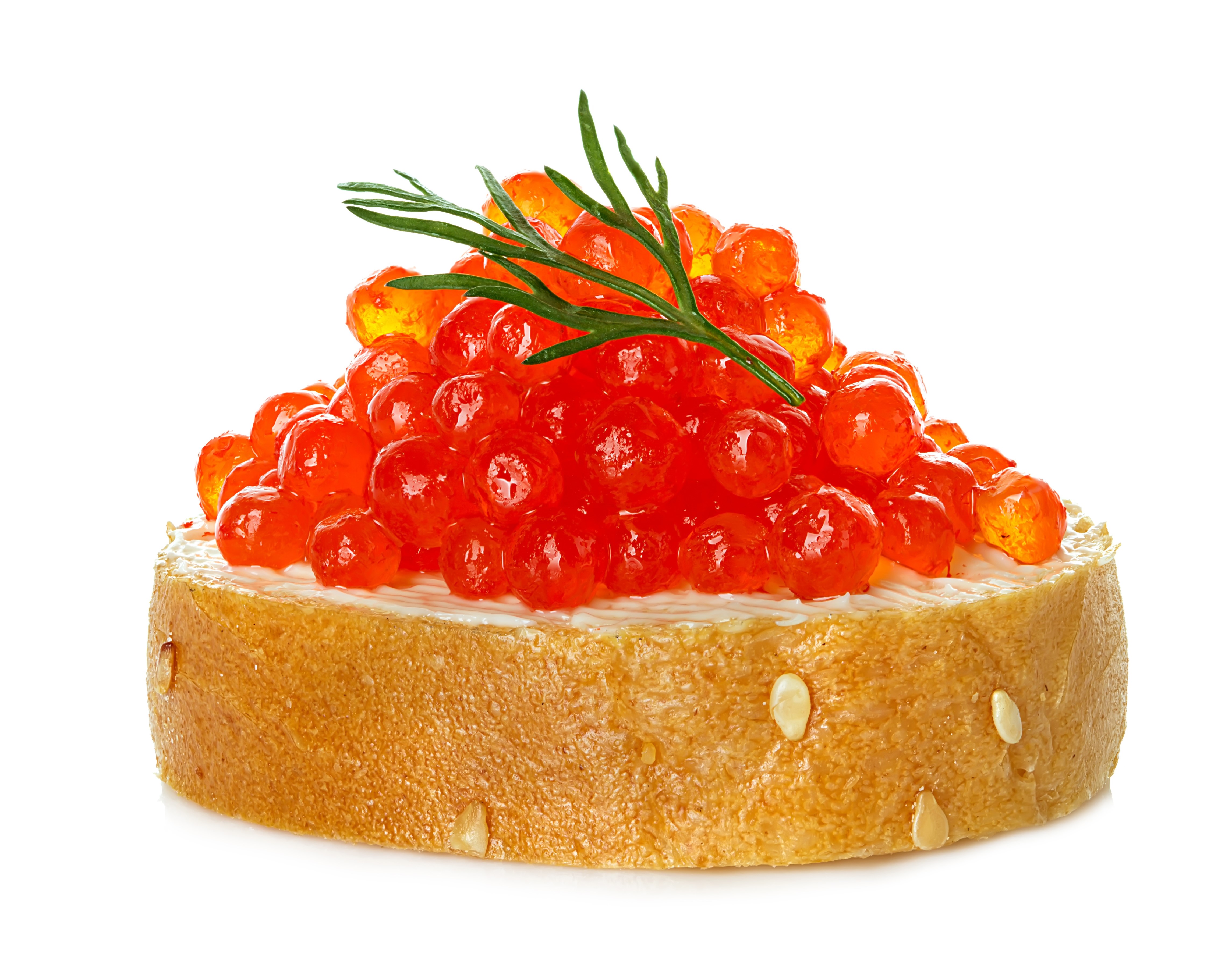 4K Caviar on Bread with Dill HD Wallpaper