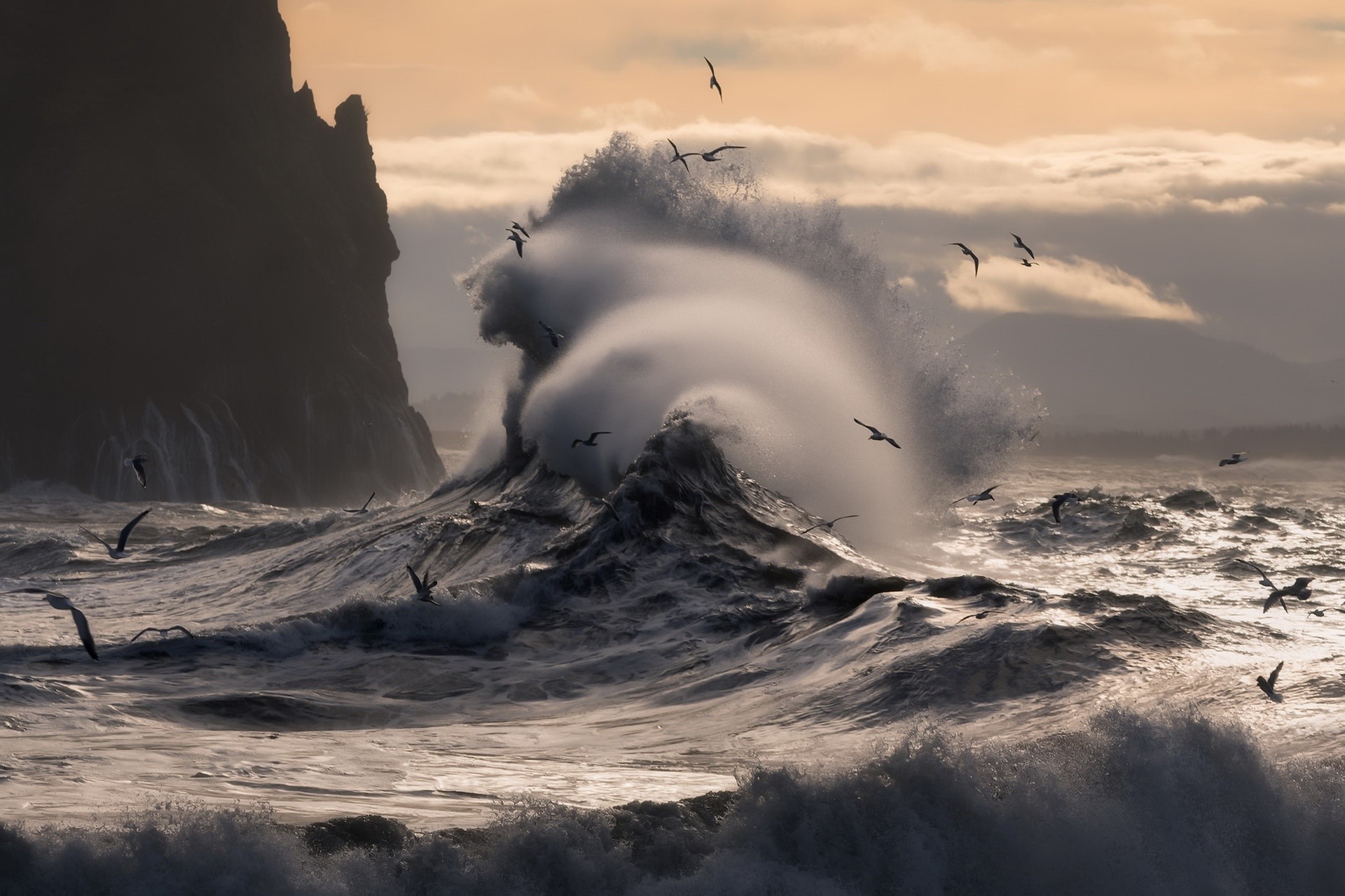 Waves crashing with seagulls flying HD Wallpaper