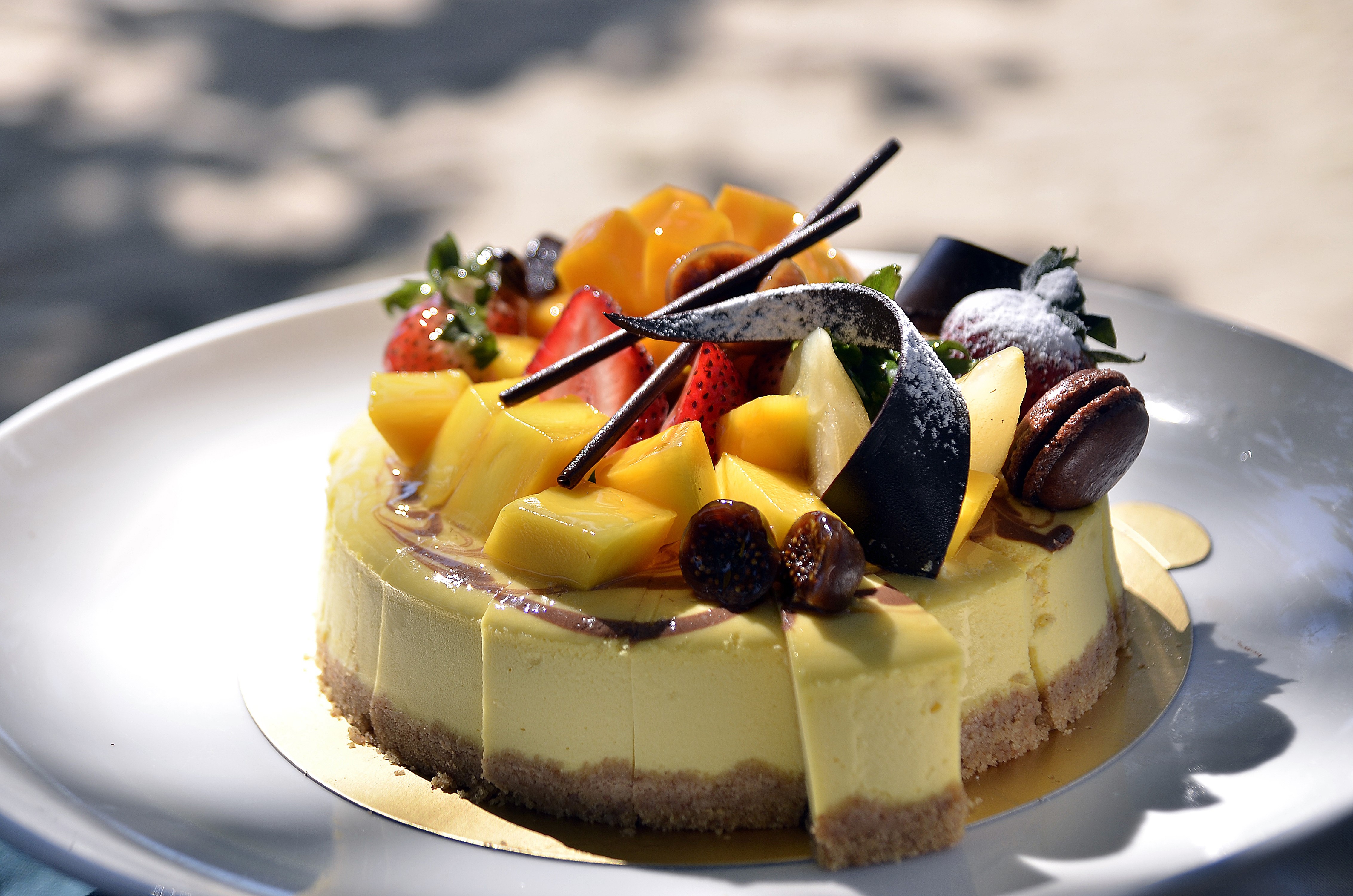 Cheesecake with Mango, Strawberry, and Chocolate HD Wallpaper