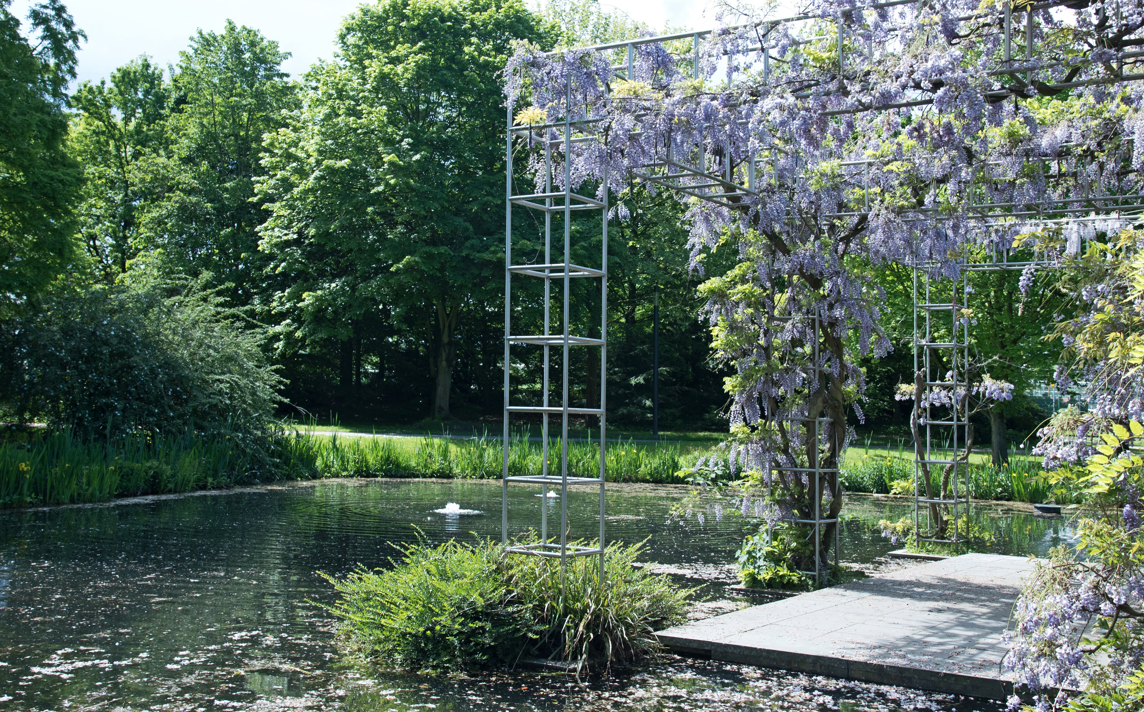 Park with Pond and Wisteria Arch HD Wallpaper