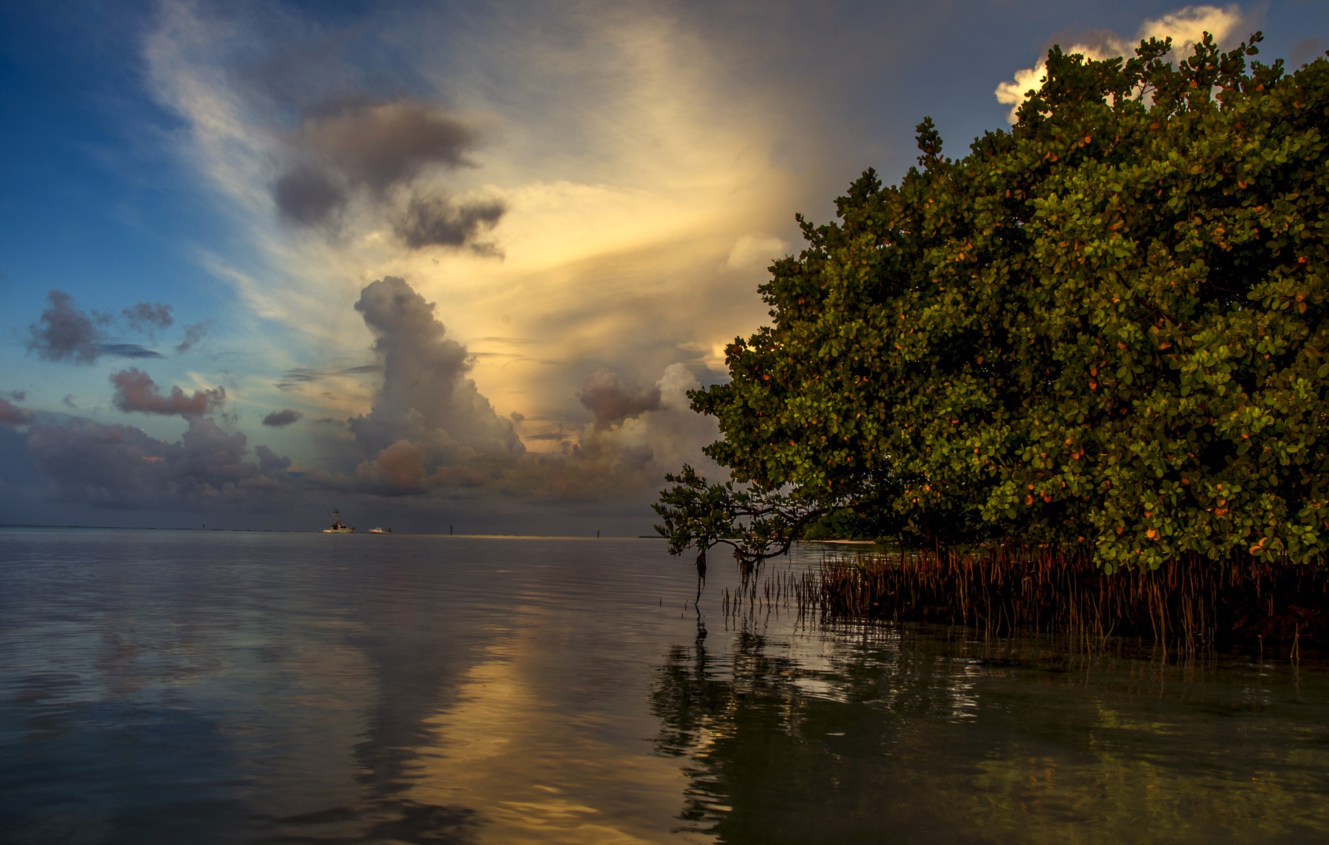 Sunset over Annes Beach, Florida Bay with Mangrove Tree HD Wallpaper