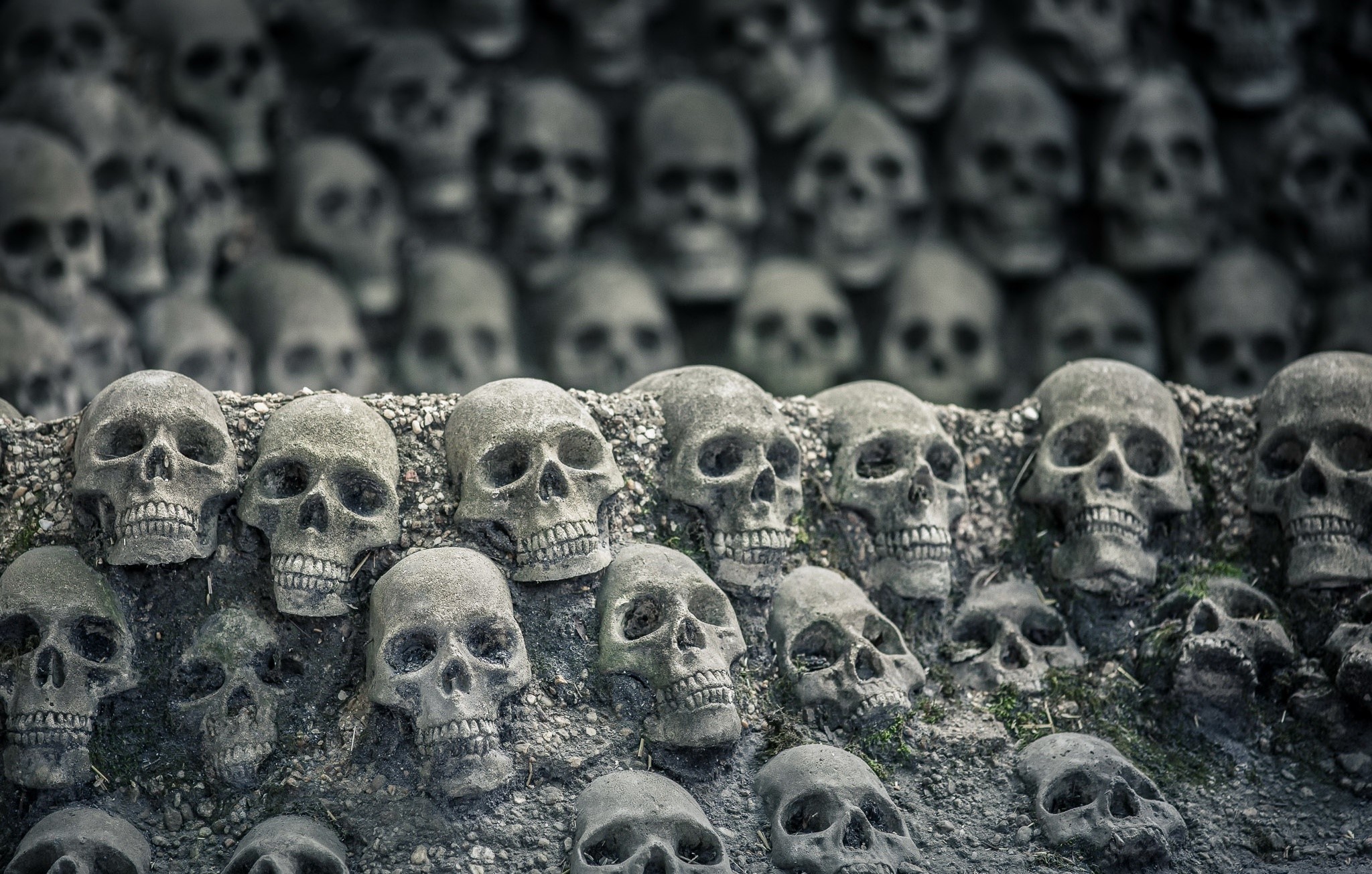Many skulls arranged on a rocky surface HD Wallpaper