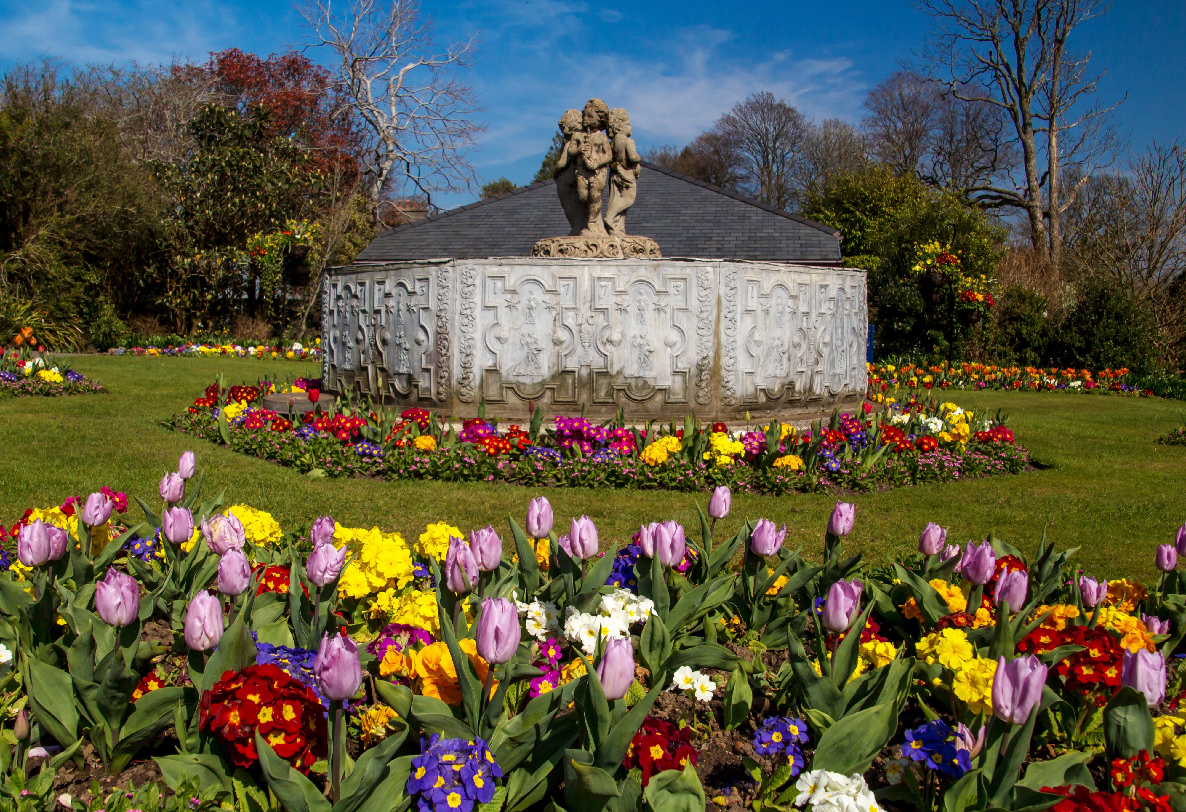 Swansea Botanic Gardens fountain with tulips and primulas HD Wallpaper