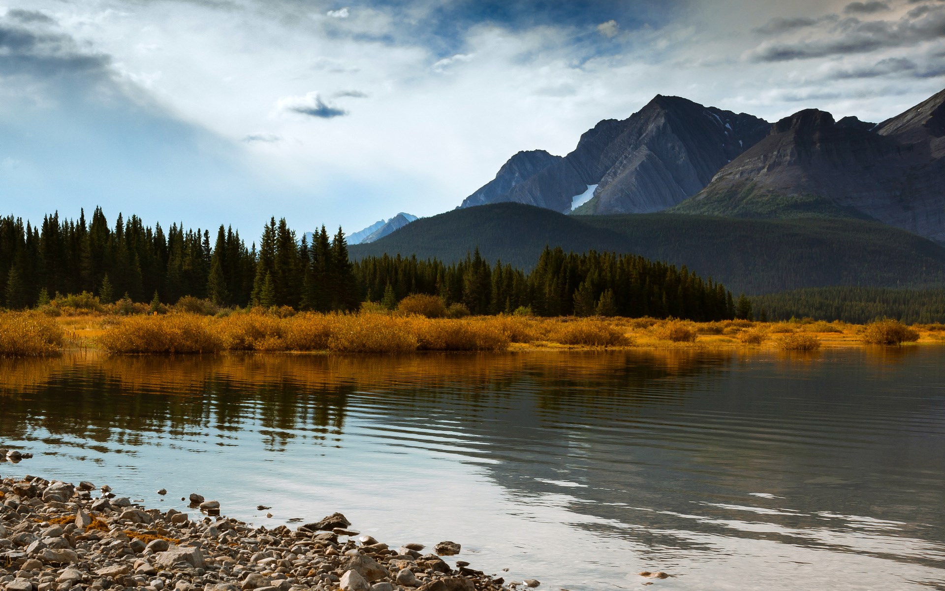 Lake and mountains with pine forest and autumn foliage HD Wallpaper