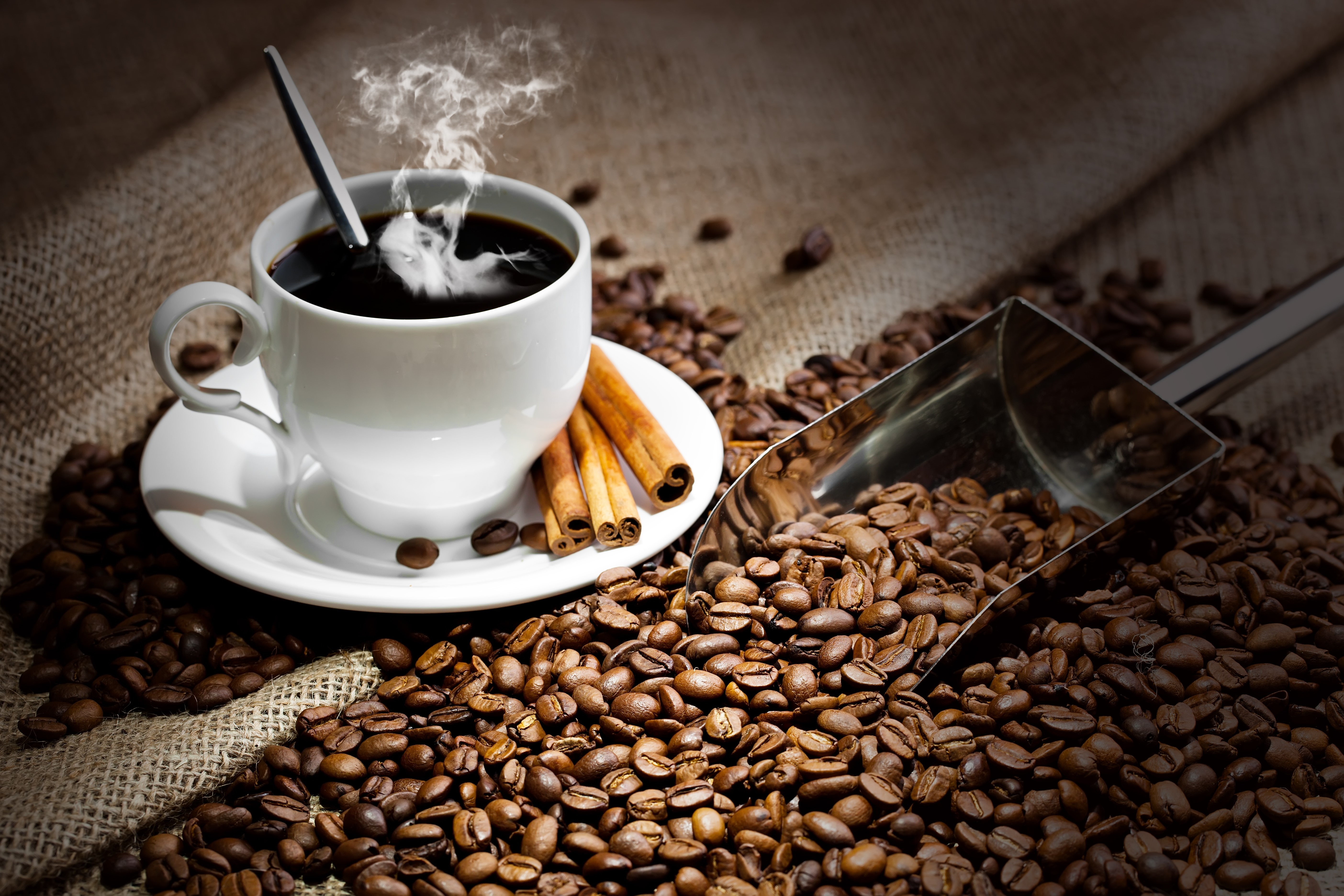 Hot Coffee with Cinnamon and Beans HD Wallpaper