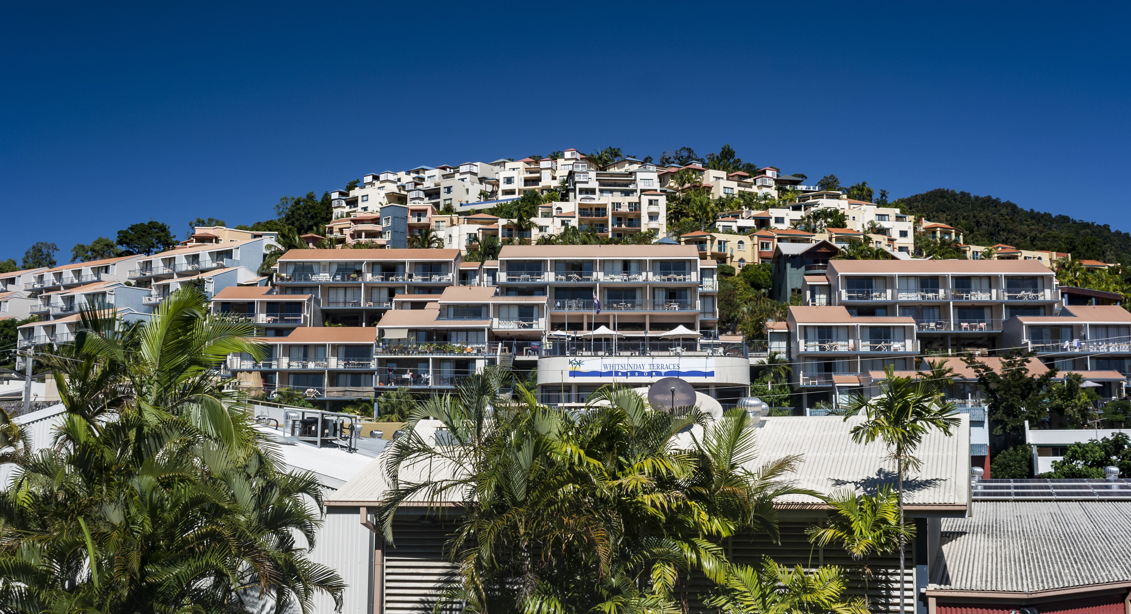 Whitsunday Terraces resort on a hillside with palm trees HD Wallpaper