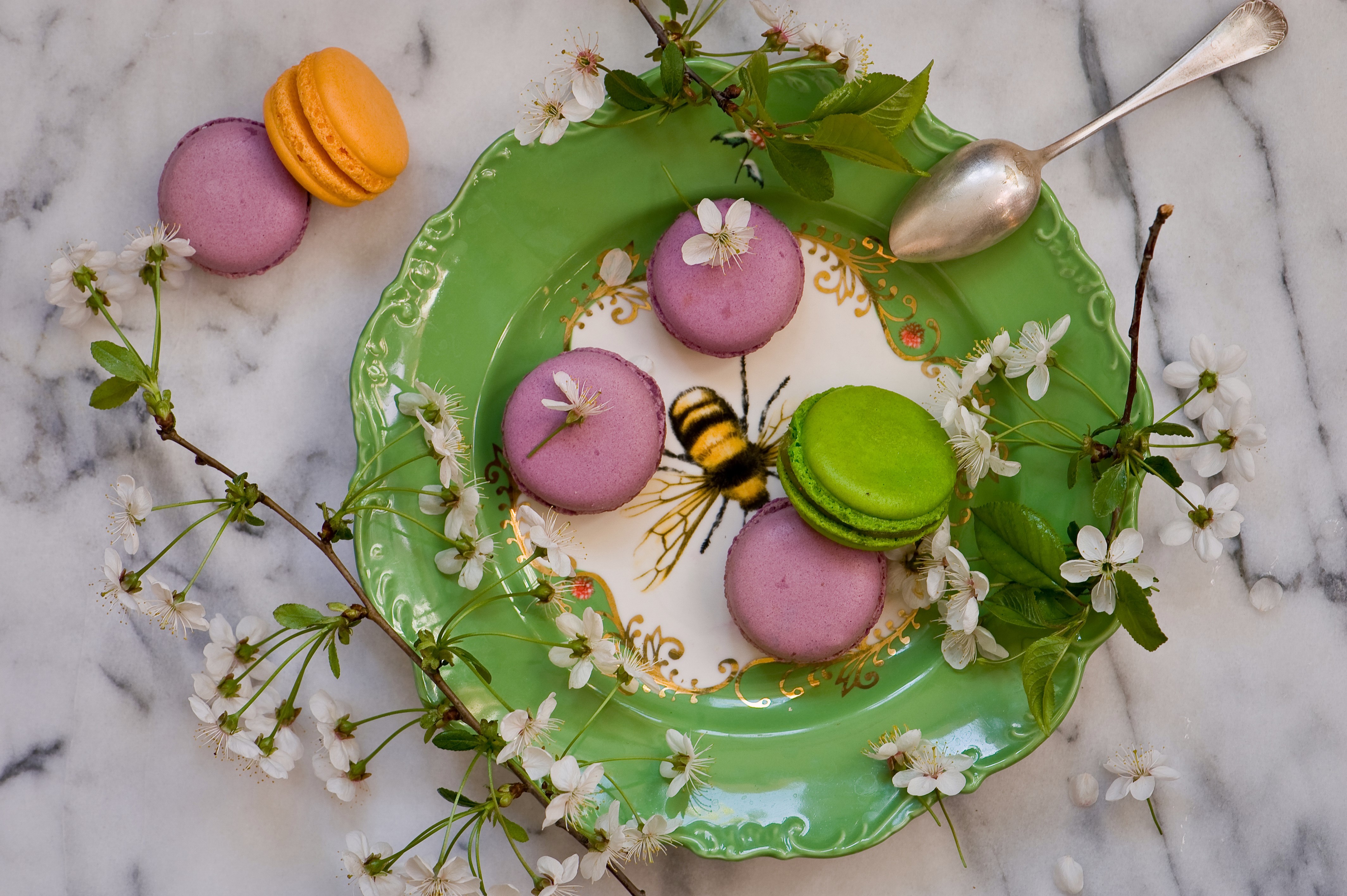 Macarons on a plate with a bee design HD Wallpaper