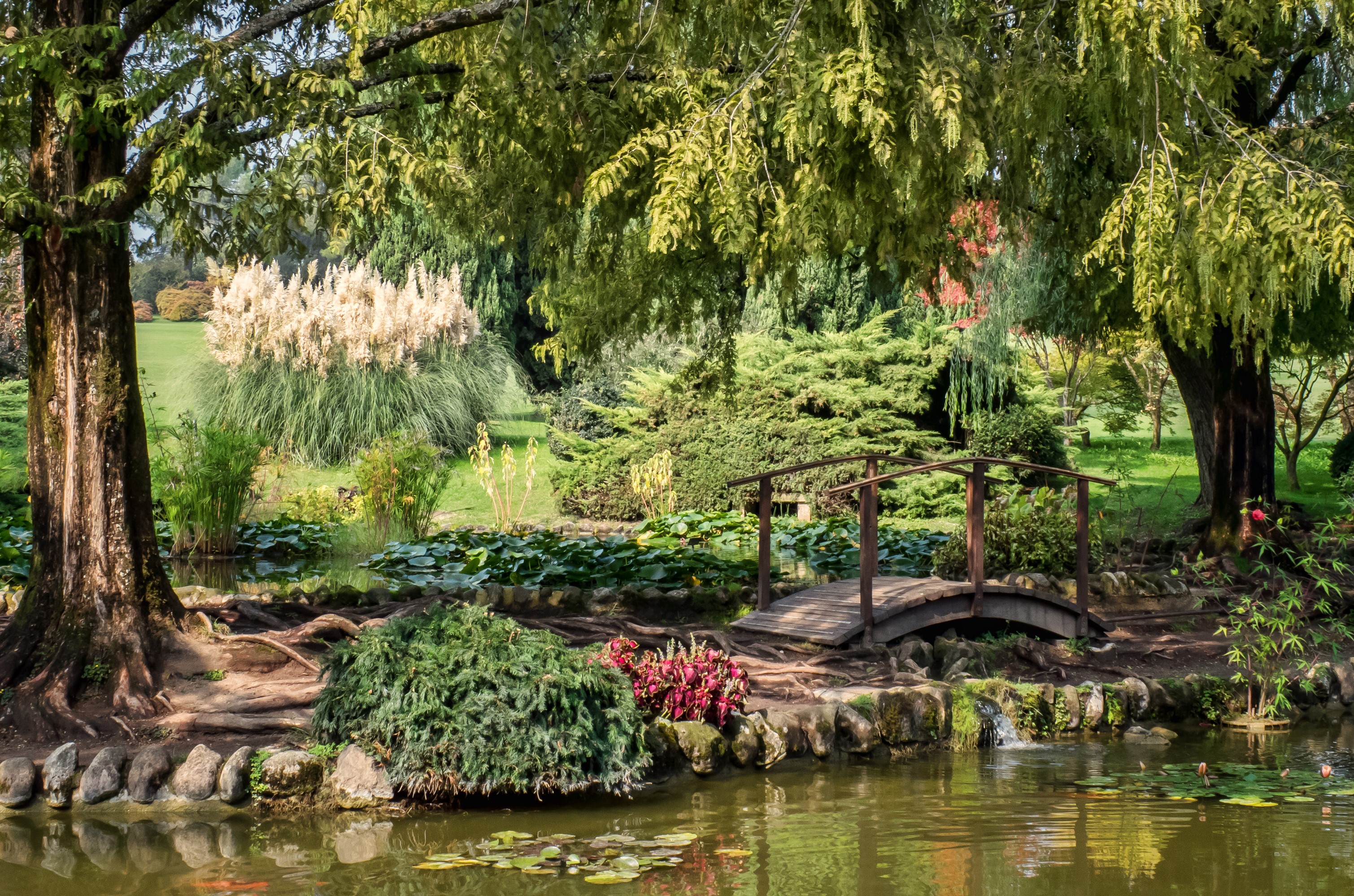 Park with pond and wooden bridge in Valeggio sul Mincio, Italy HD Wallpaper