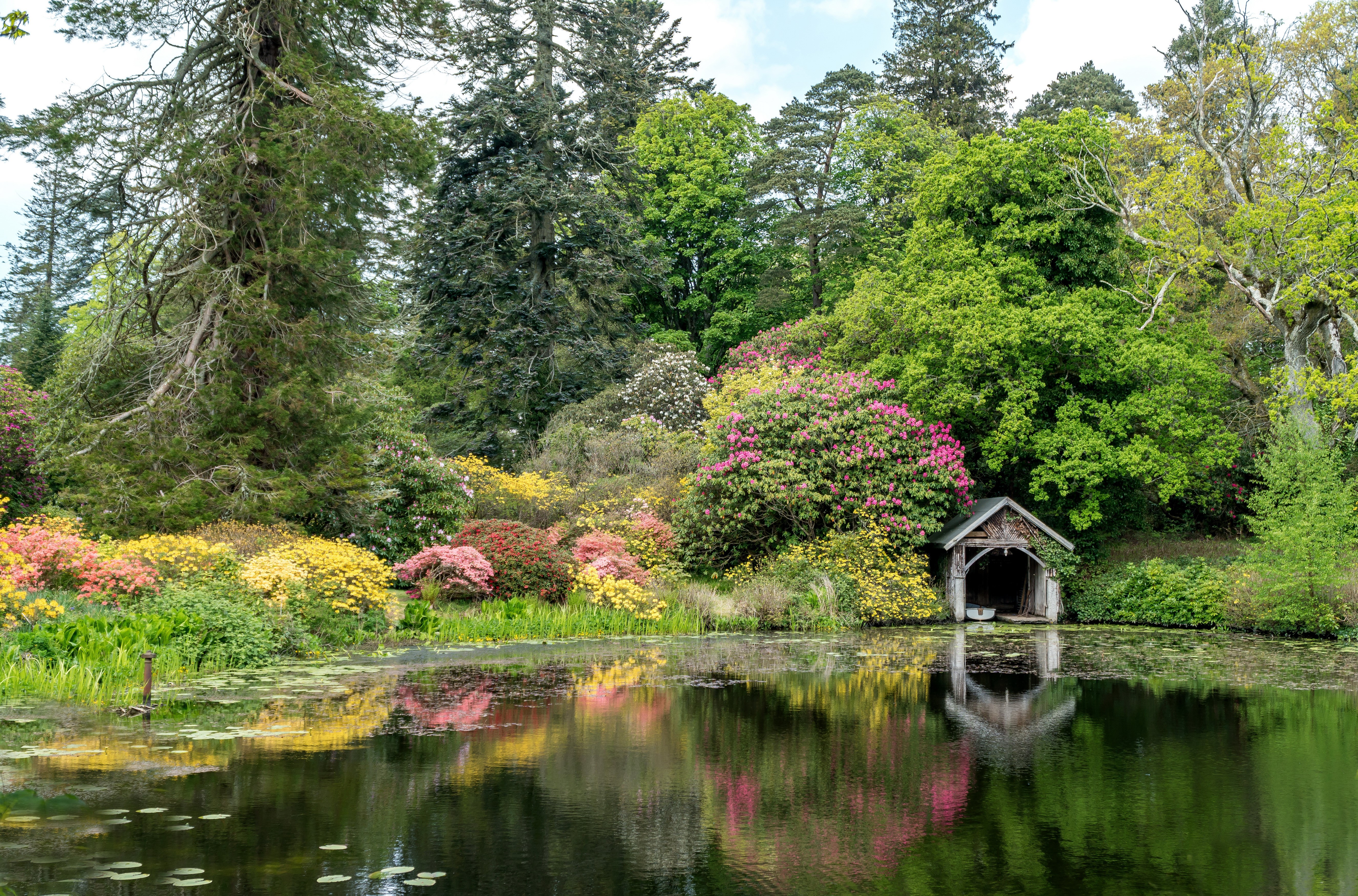 Boathouse on a lake in Scotland with rhododendrons HD Wallpaper