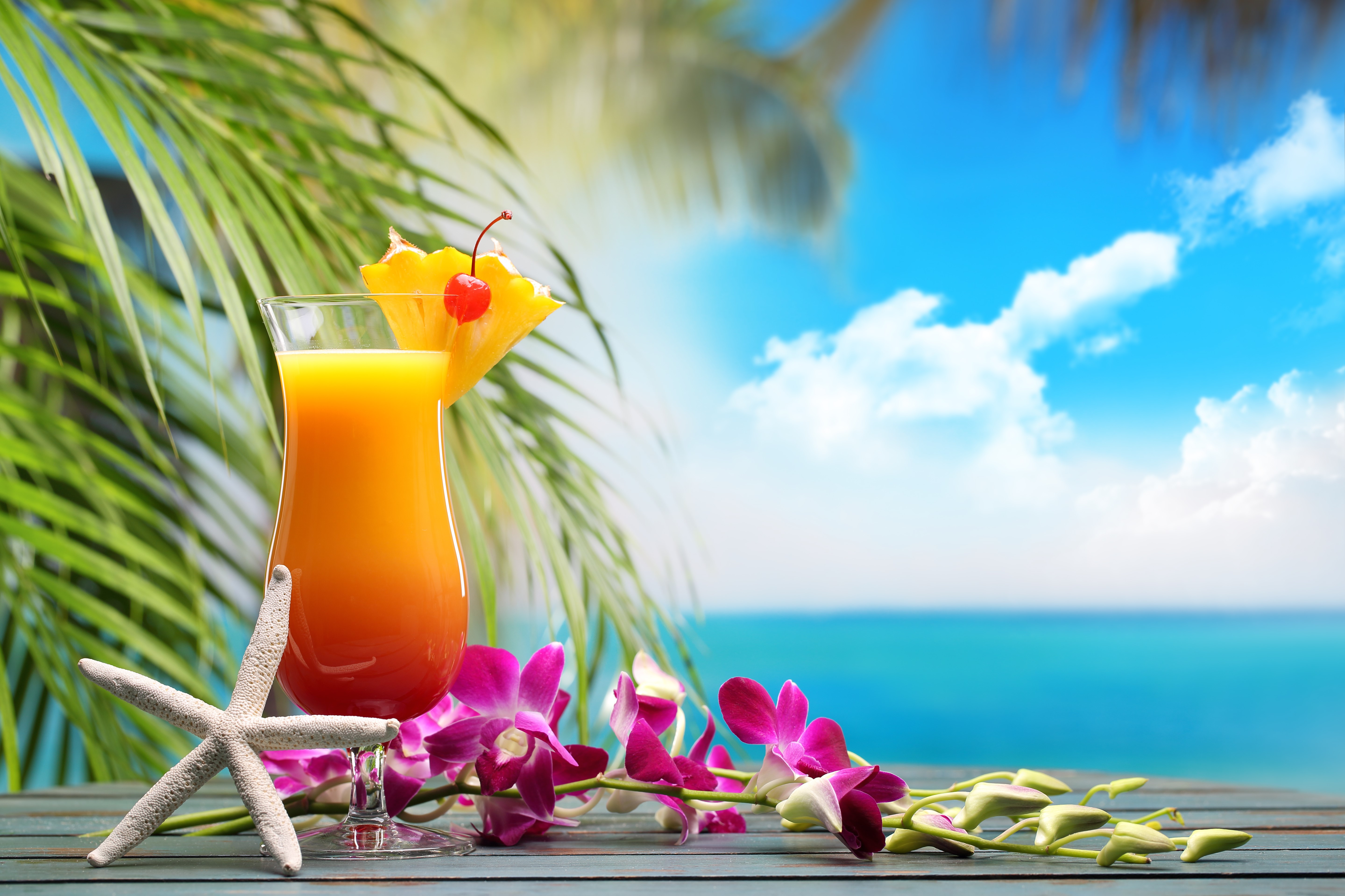 Cocktail with Orchid and Starfish on Beach HD Wallpaper