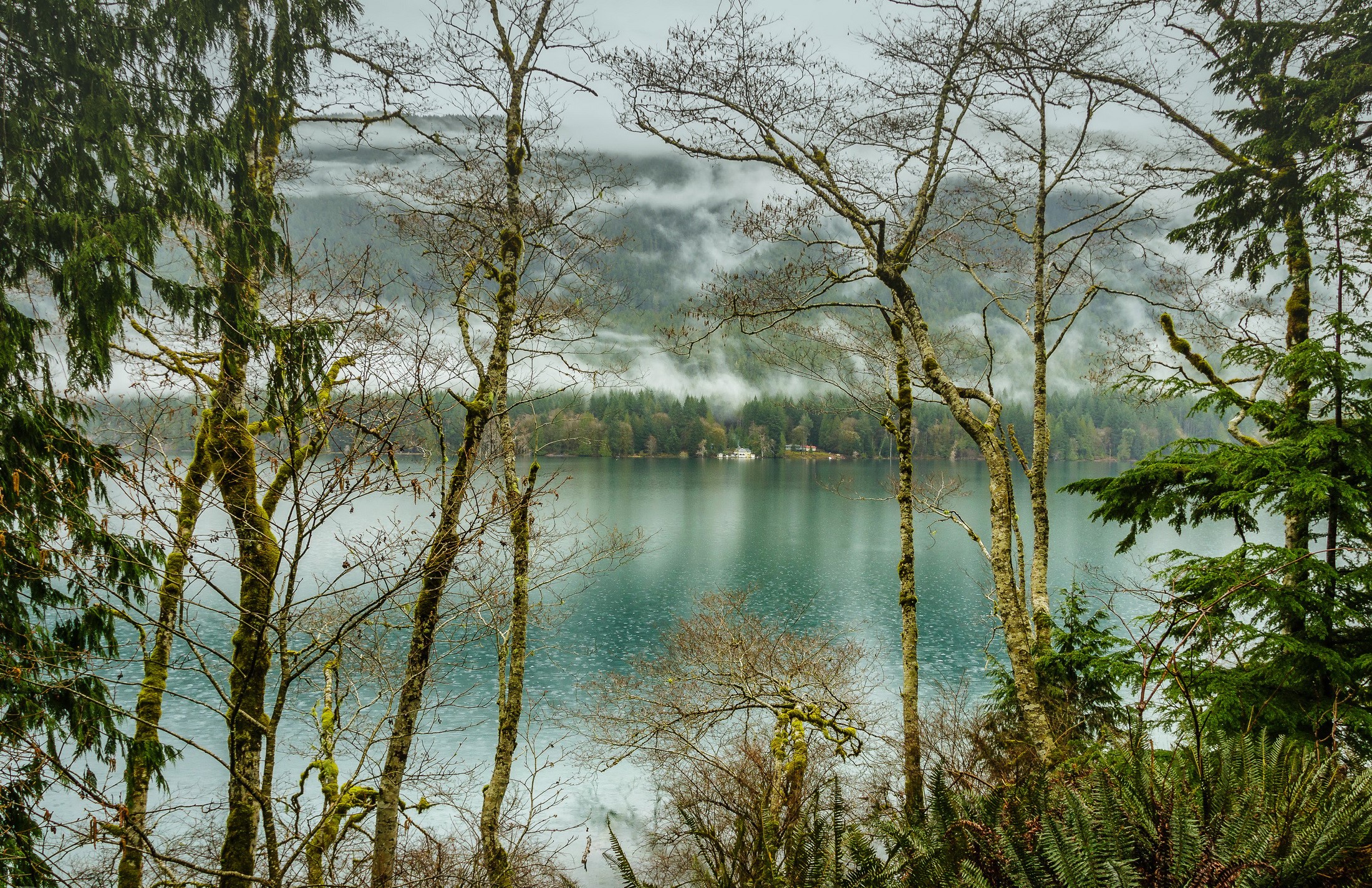Lake Crescent Olympic National Park with Foggy Mountains HD Wallpaper