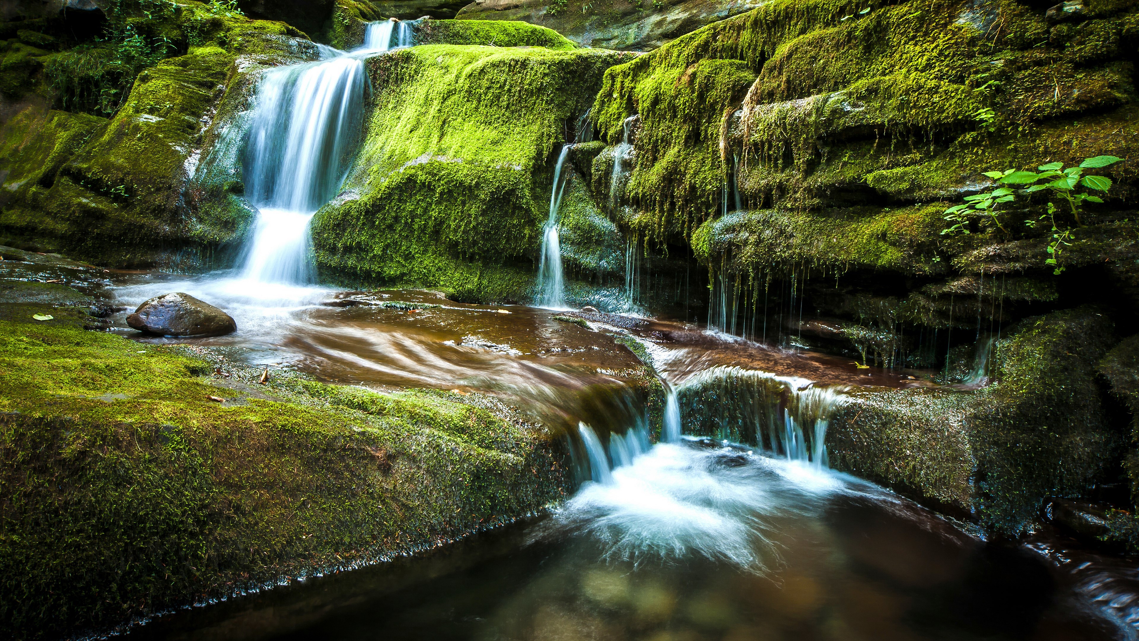 Mossy rocks with a cascading waterfall in a forest HD Wallpaper