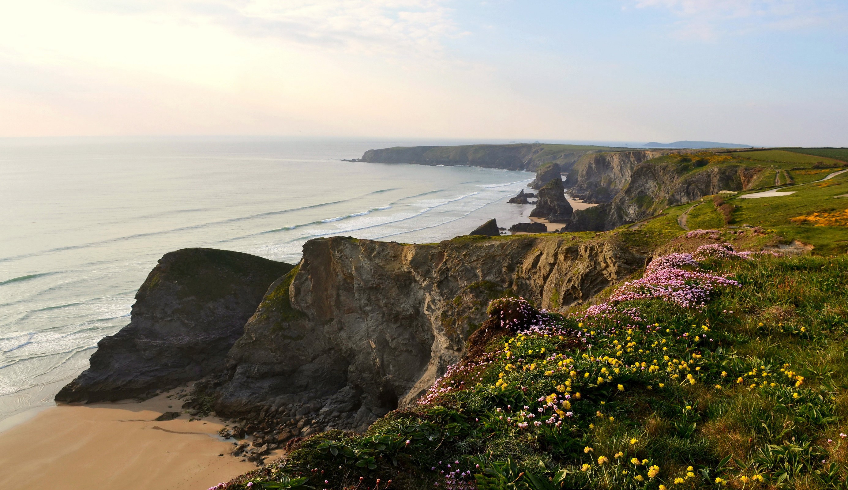 Coastal cliffs with wildflowers and the sea in England HD Wallpaper