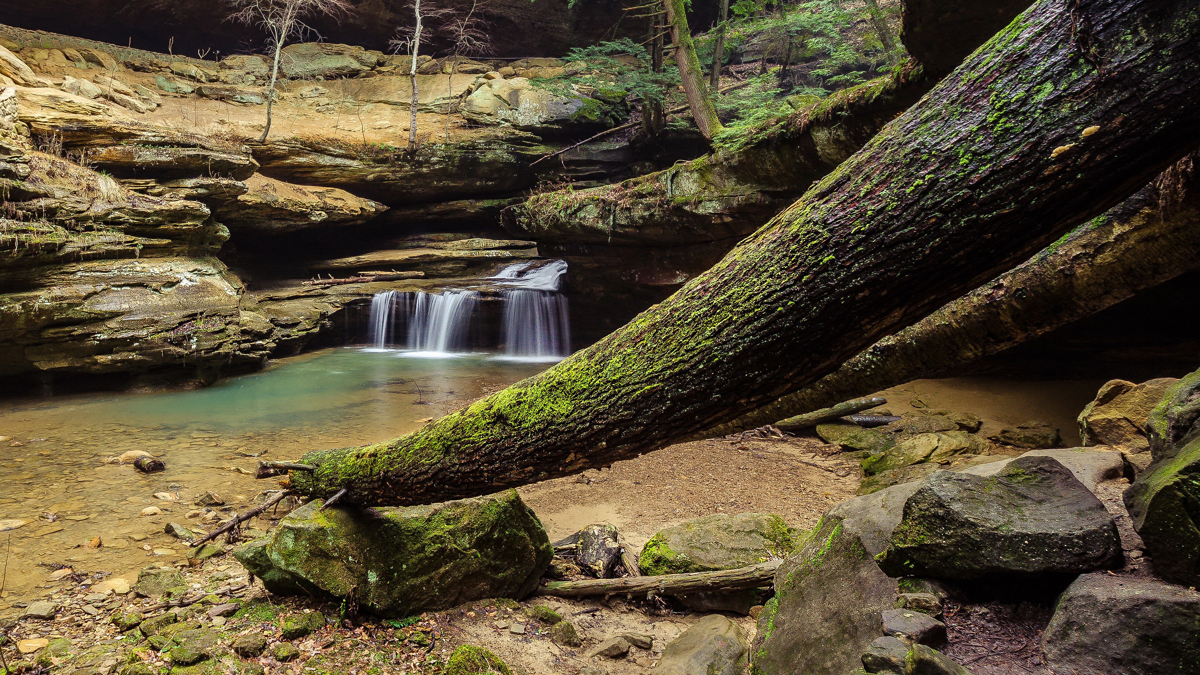Waterfall in a forest with a fallen tree HD Wallpaper