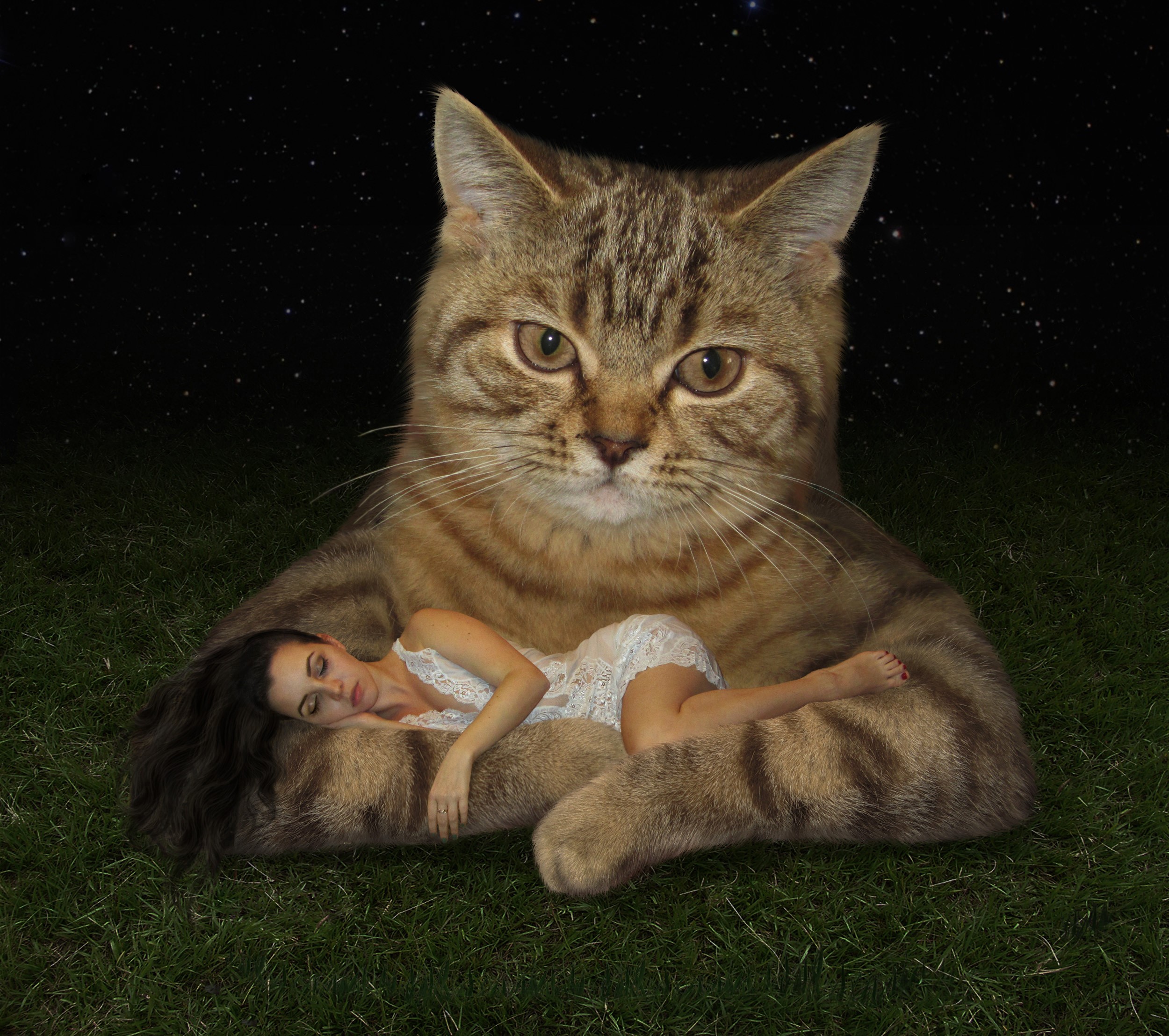 Giant cat holding a sleeping woman on grass at night HD Wallpaper