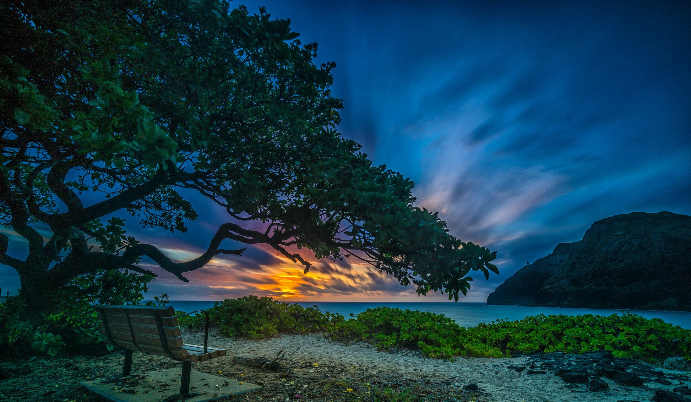 Bench under a tree overlooking Makapuu Beach at sunset HD Wallpaper