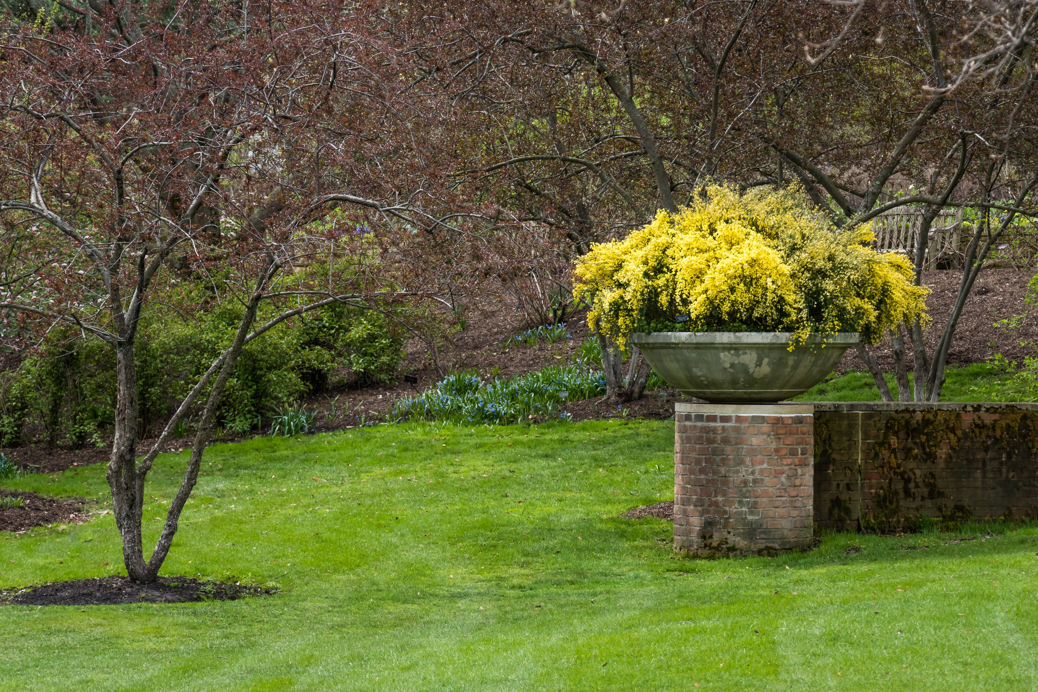 Garden with a large planter and trees HD Wallpaper