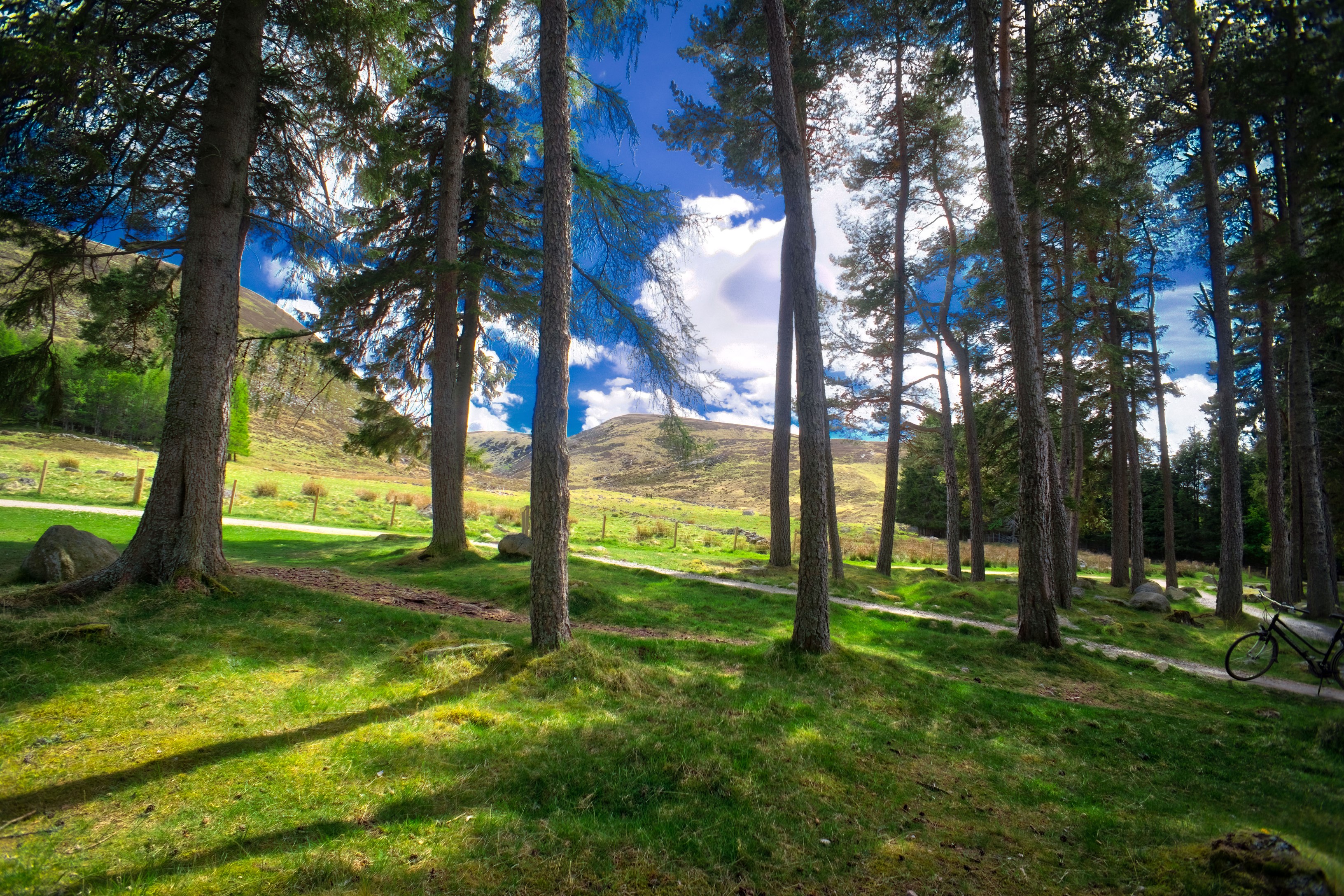 Trees and hills at Loch Muick, Scotland HD Wallpaper