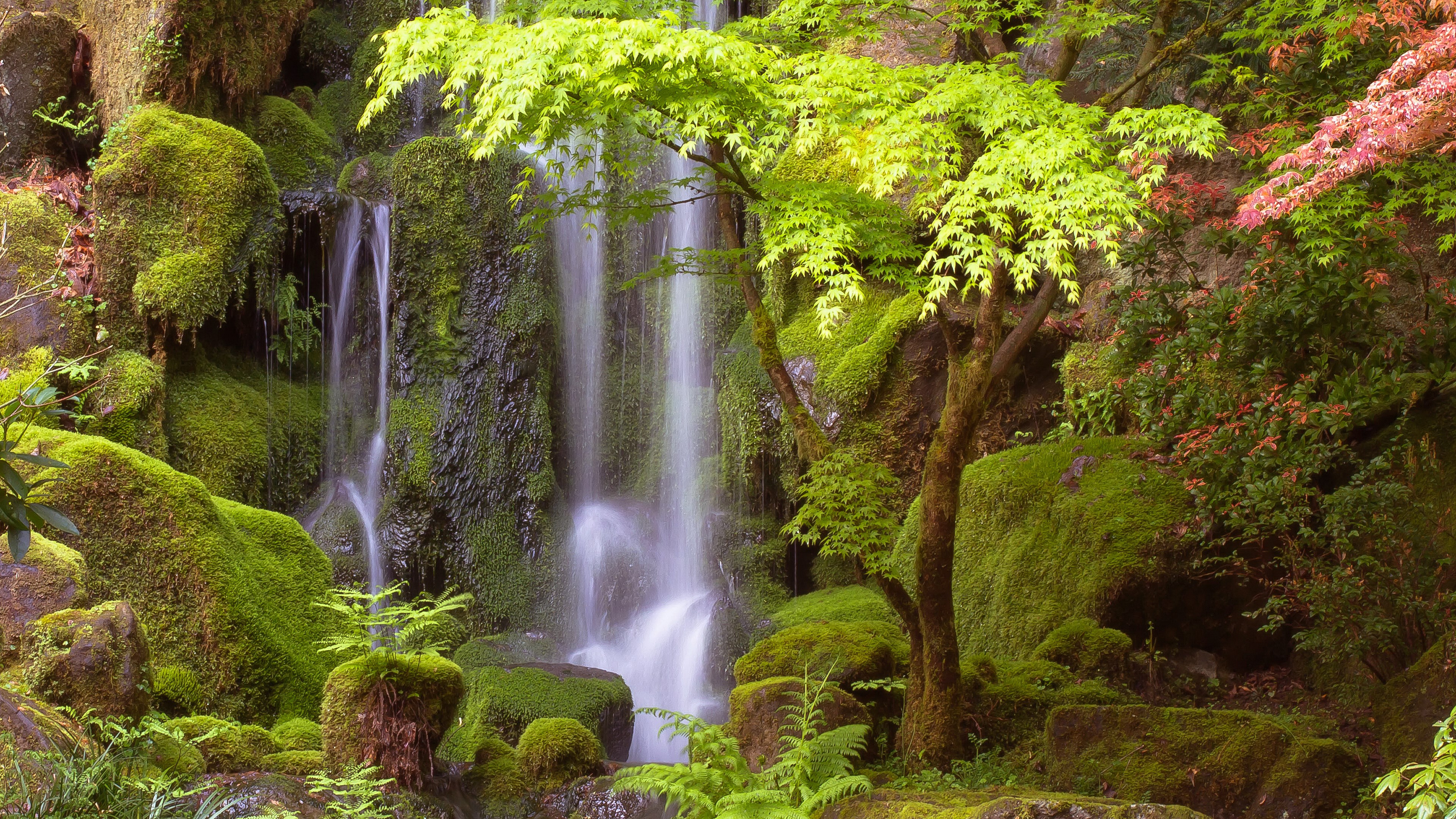 Mossy rocks and a waterfall in a Japanese garden HD Wallpaper