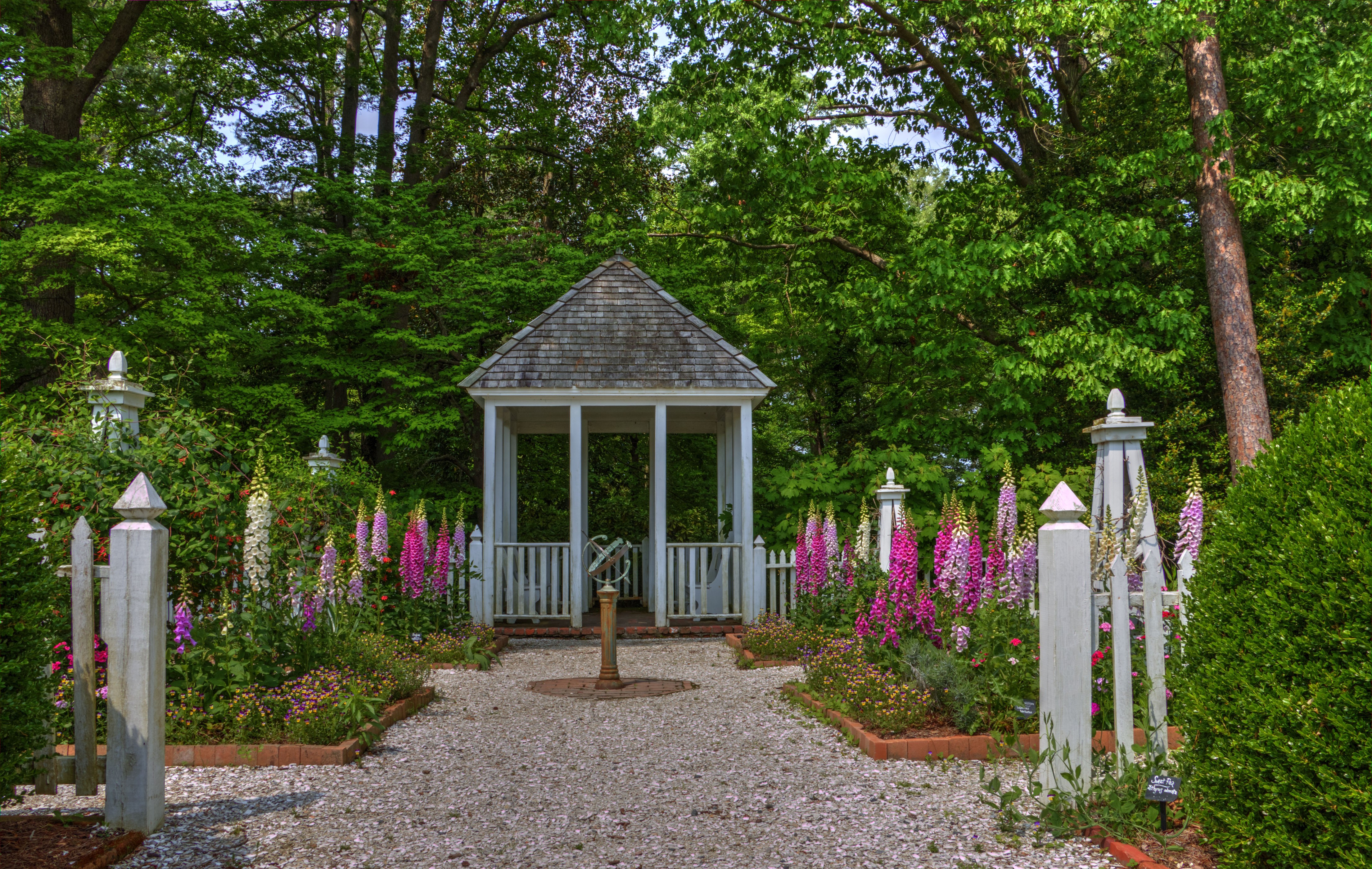 Gazebo and Foxglove Garden at Norfolk Botanical Garden HD Wallpaper